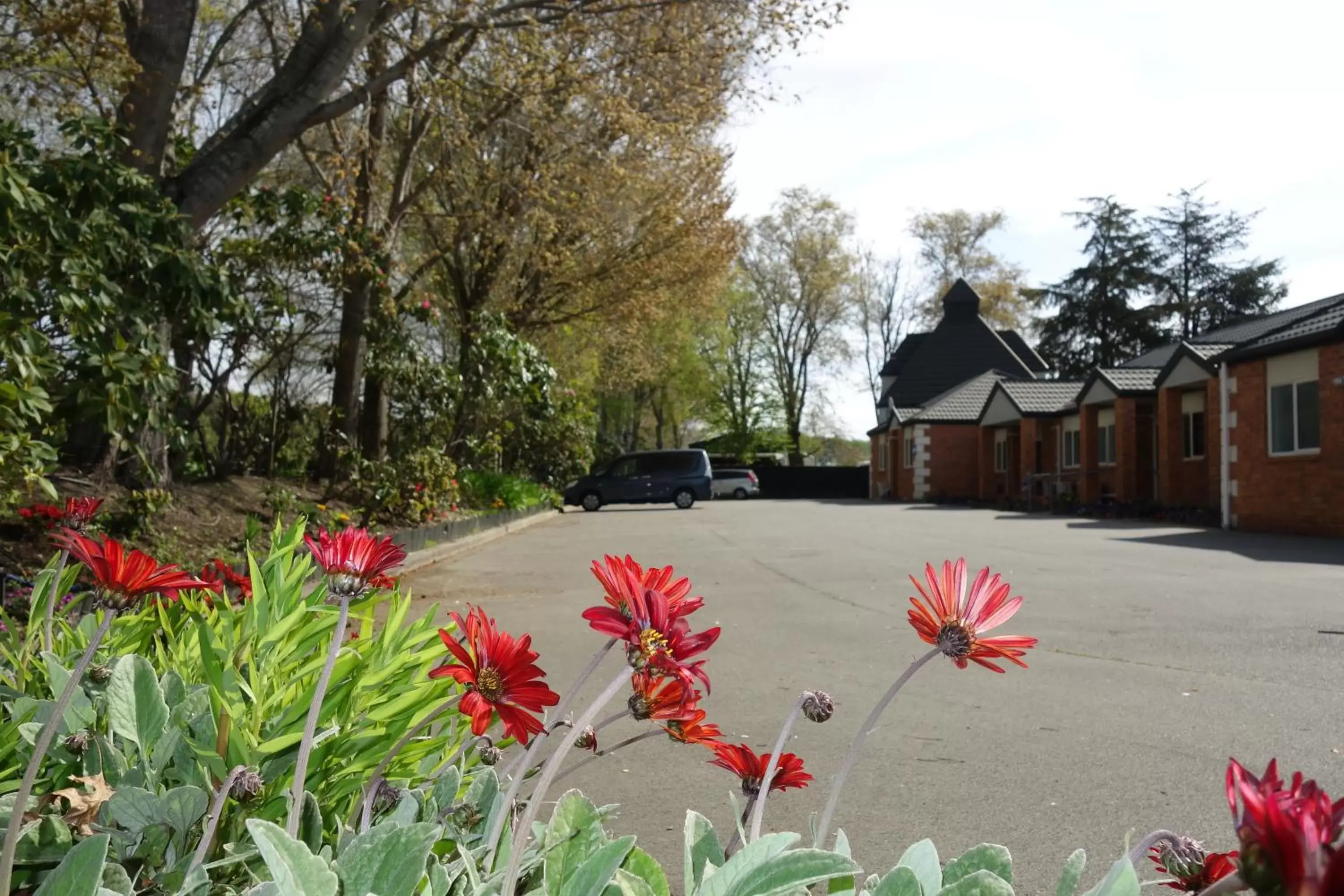 Garden, Property Building in Northwood Motor Lodge