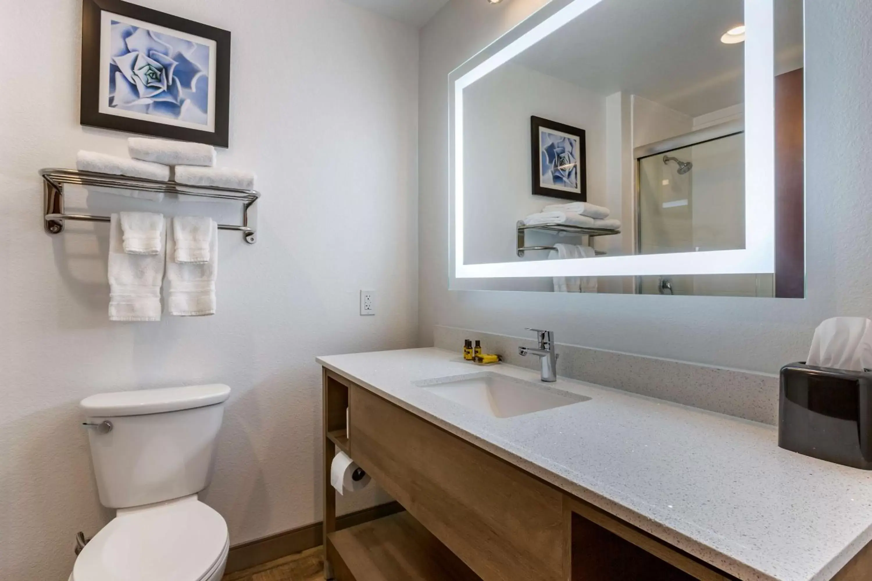 Bathroom in Best Western Plus Casa Grande Inn & Suites