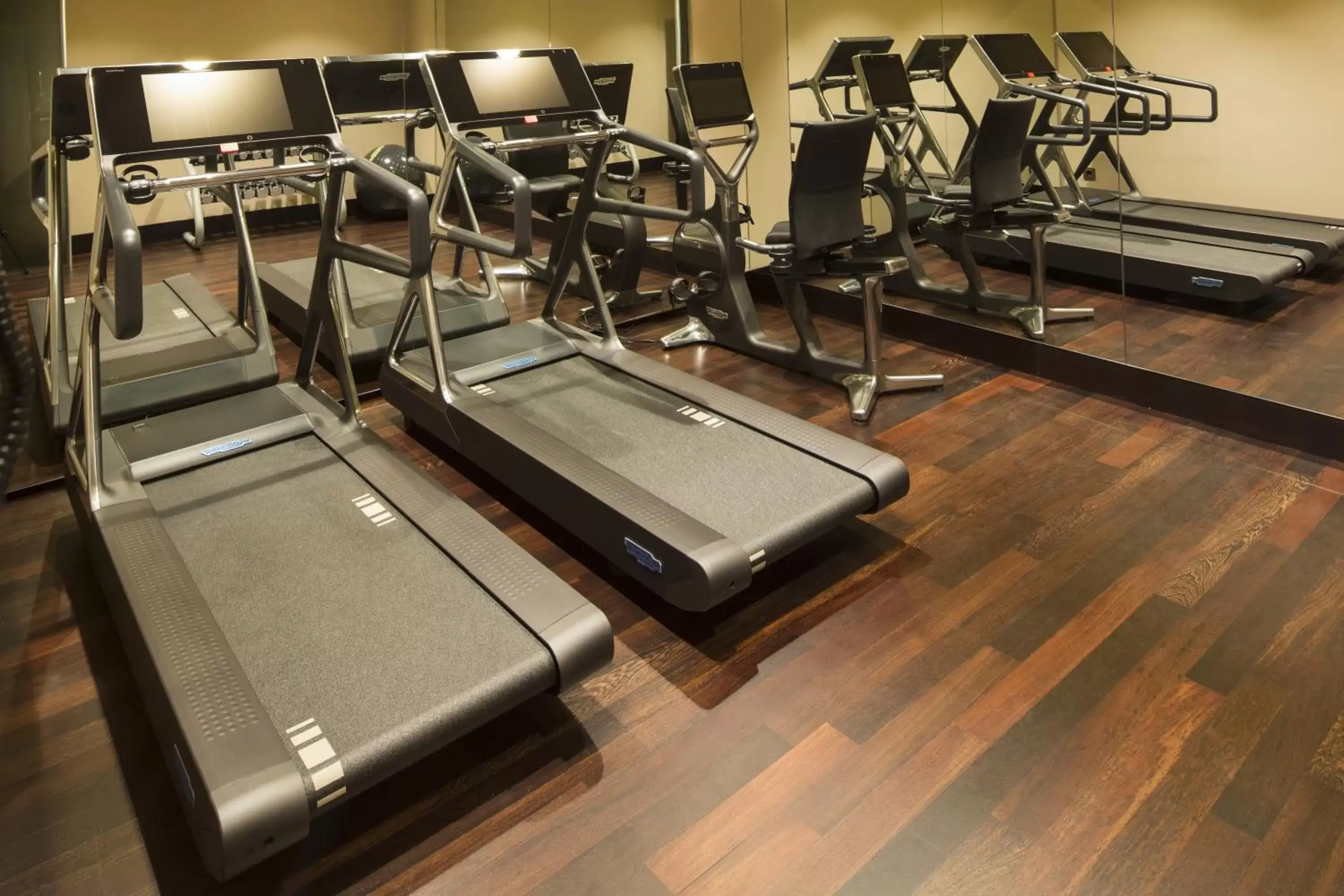 Activities, Fitness Center/Facilities in BERDS Chisinau Mgallery Hotel Collection