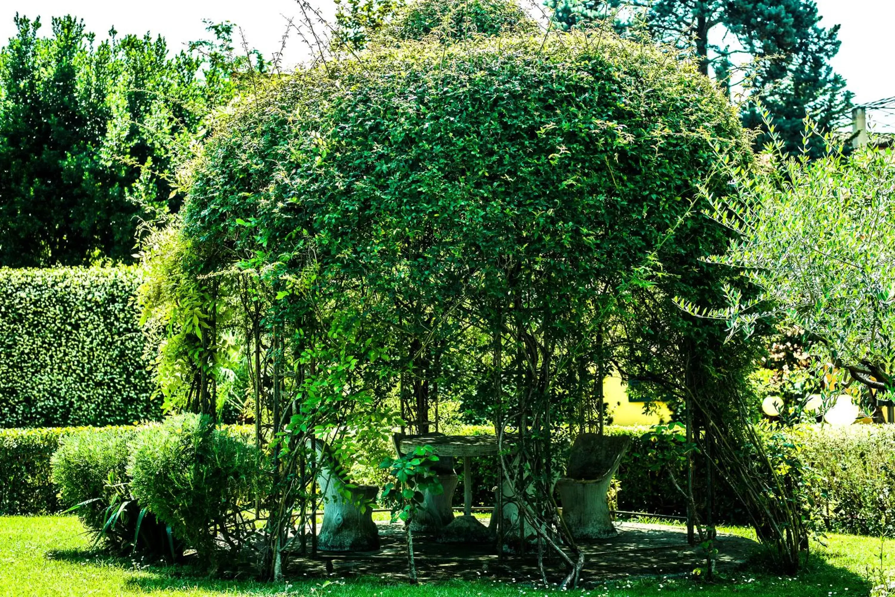 Garden in Villa Royal