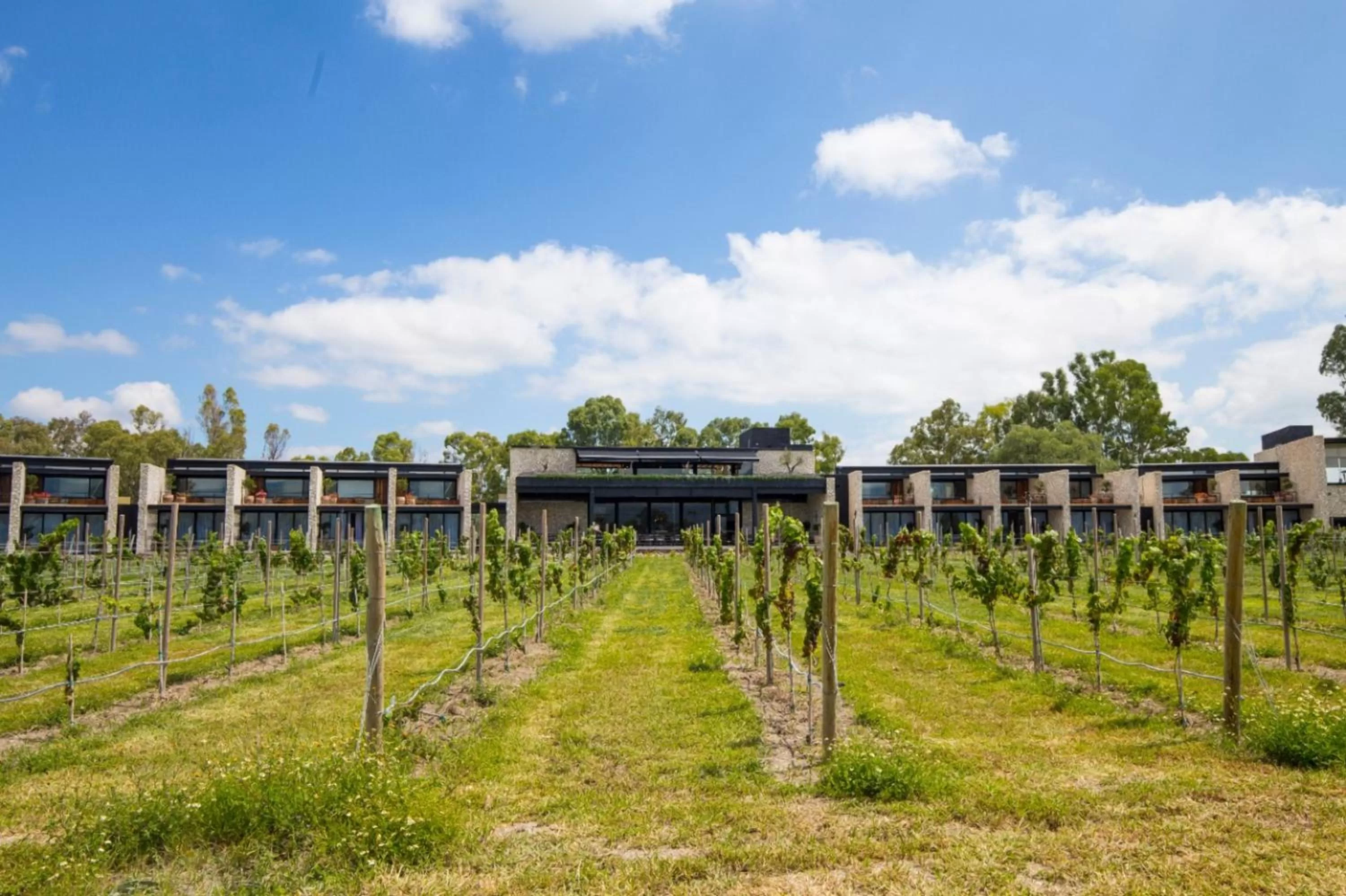 Off site, Property Building in Viñedos San Francisco