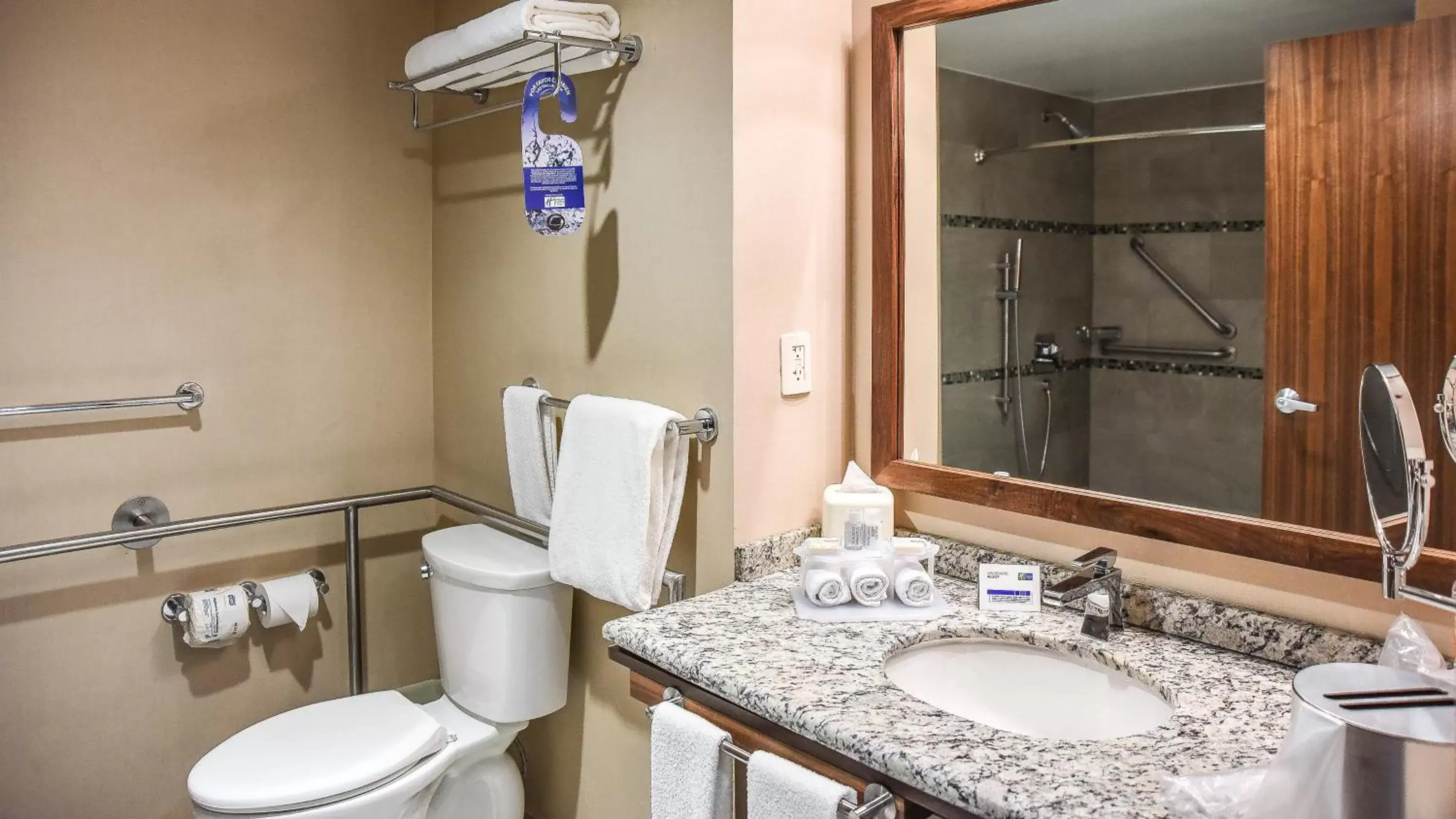 Photo of the whole room, Bathroom in Holiday Inn Express and Suites Celaya, an IHG Hotel