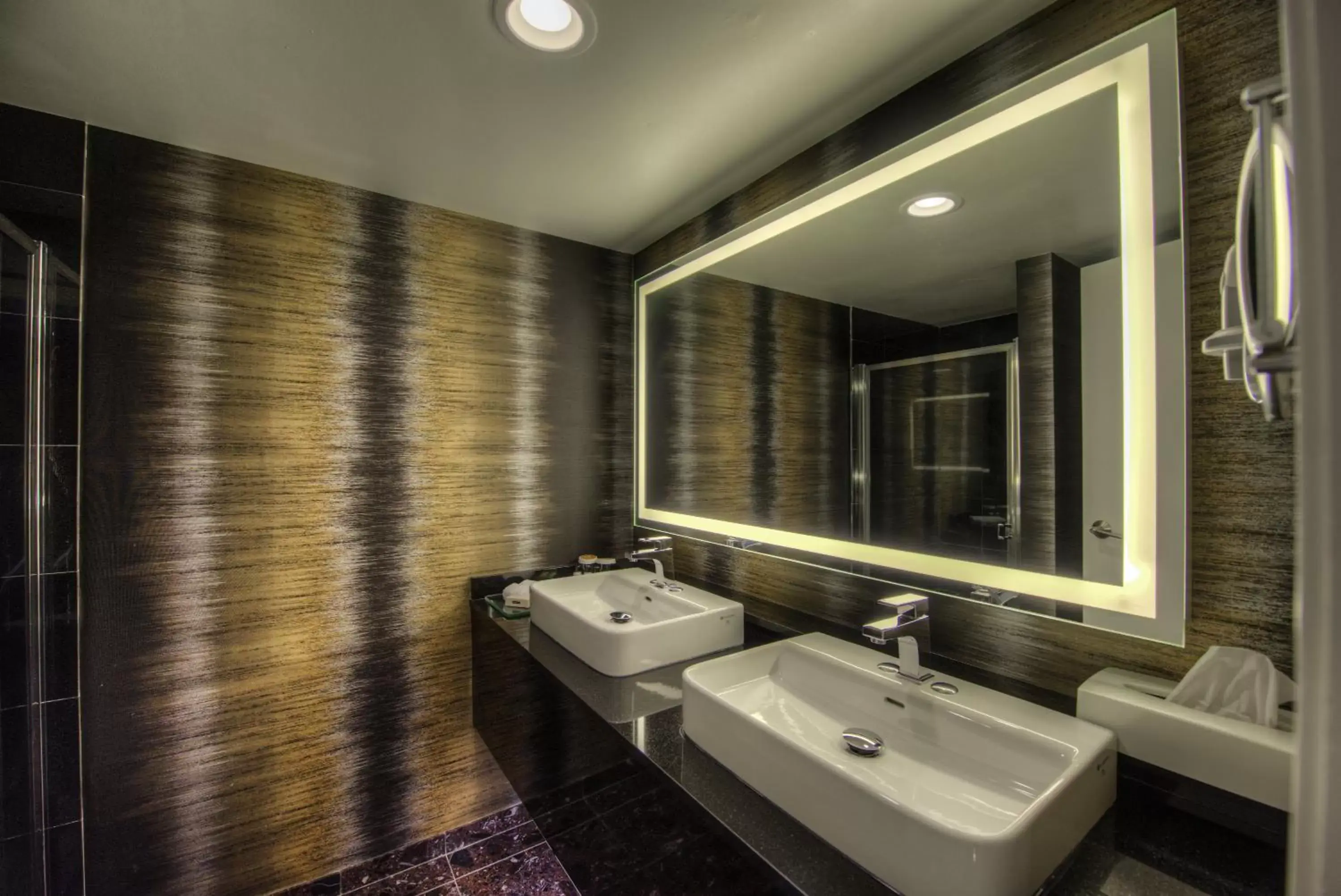 Bathroom in Executive Suites Hotel & Conference Center, Metro Vancouver