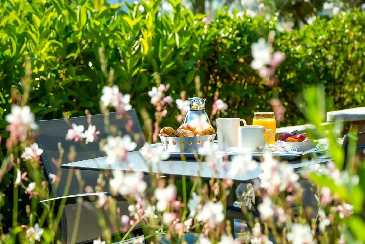 Garden in Hotel Costa Salina