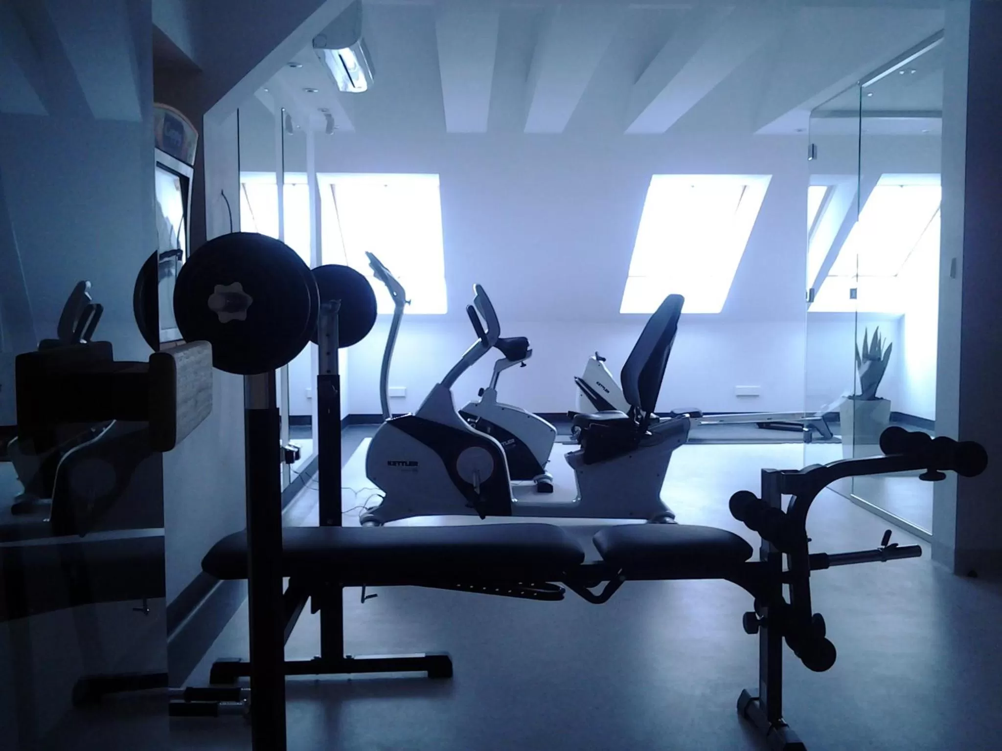 Fitness centre/facilities in Hotel Zamek Centrum