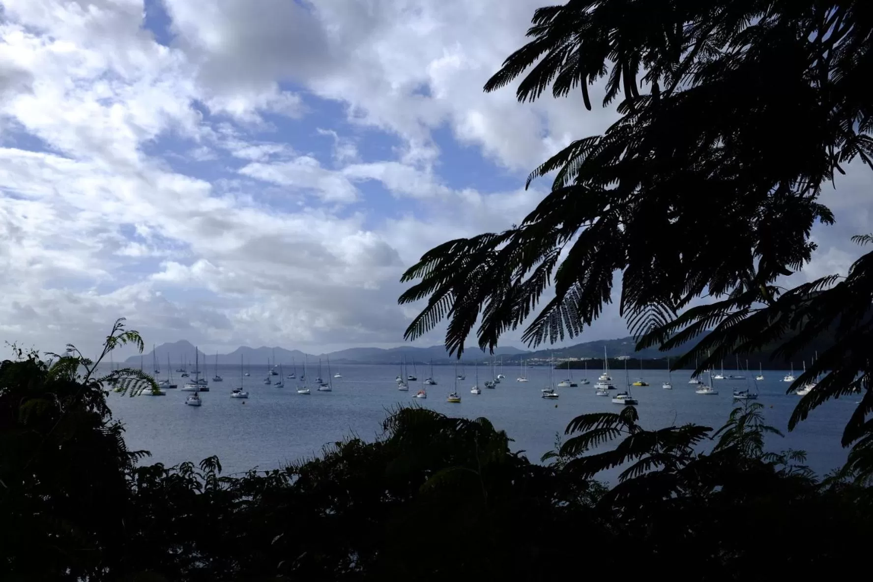 Day in Bed and breakfast Riviere