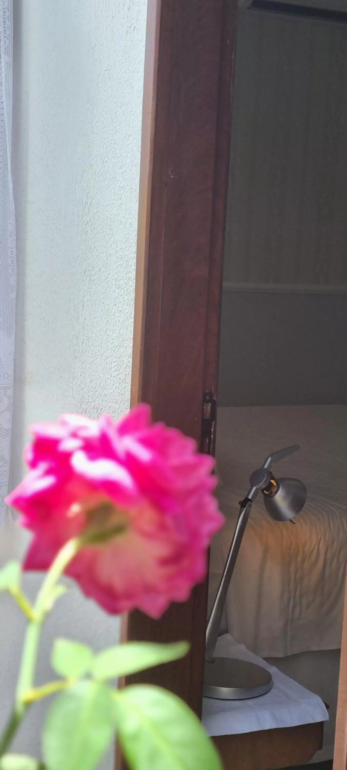 Garden view in Pousada Recanto da Família