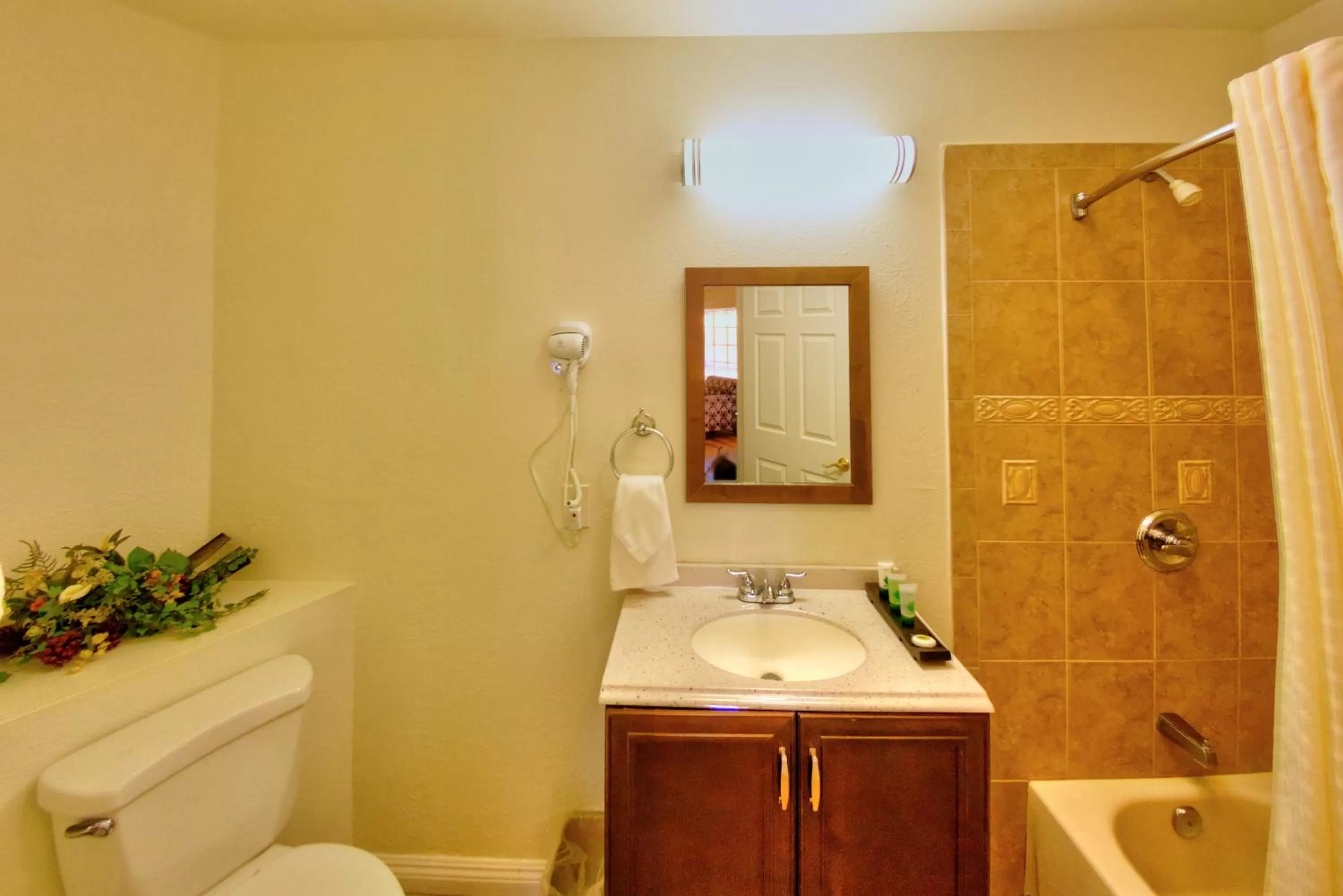 Bathroom in Palm Tropics Motel