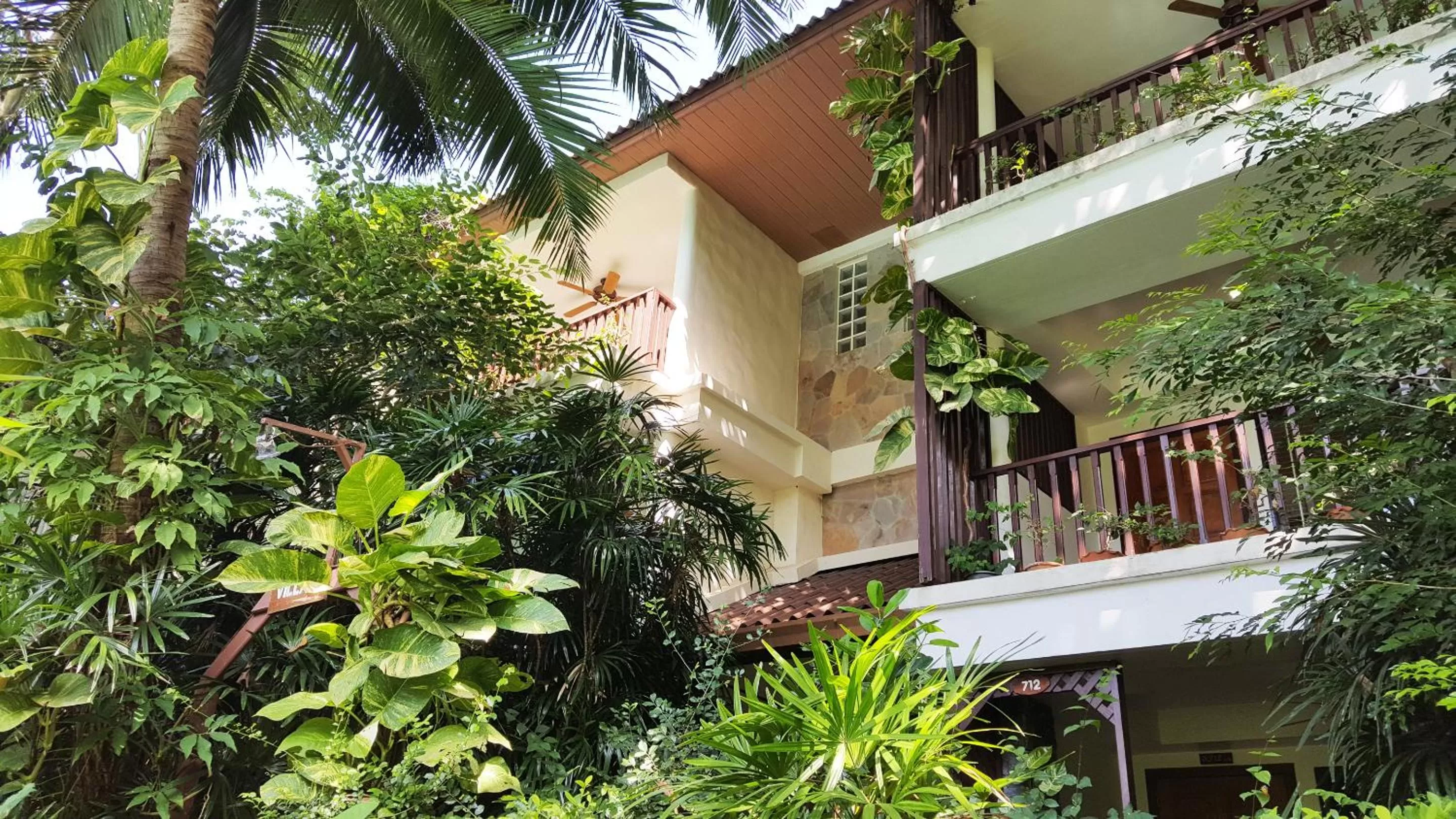 Bird's eye view in Birds and Bees Resort