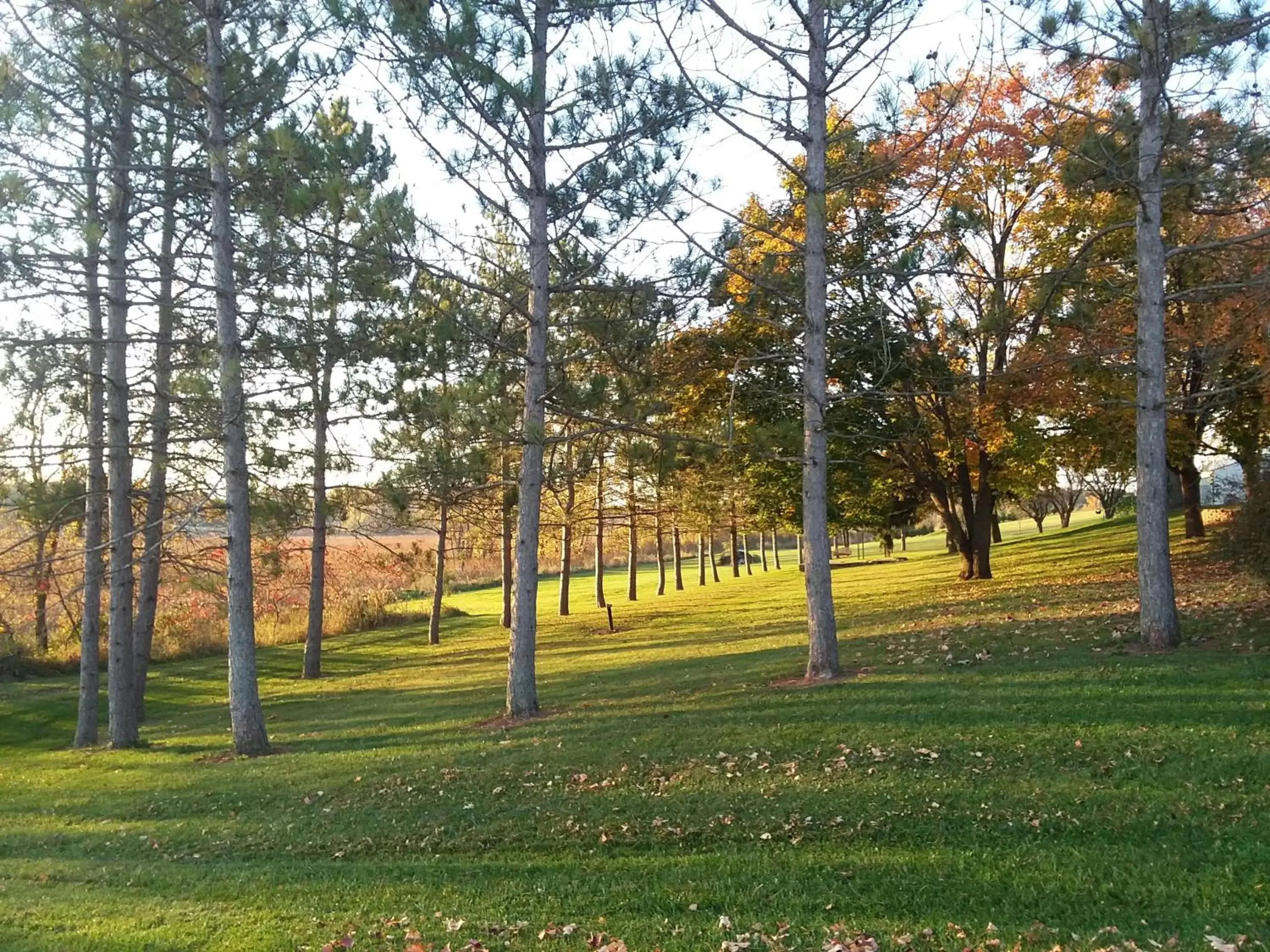 Natural landscape, Garden in Shane Acres Country Inn