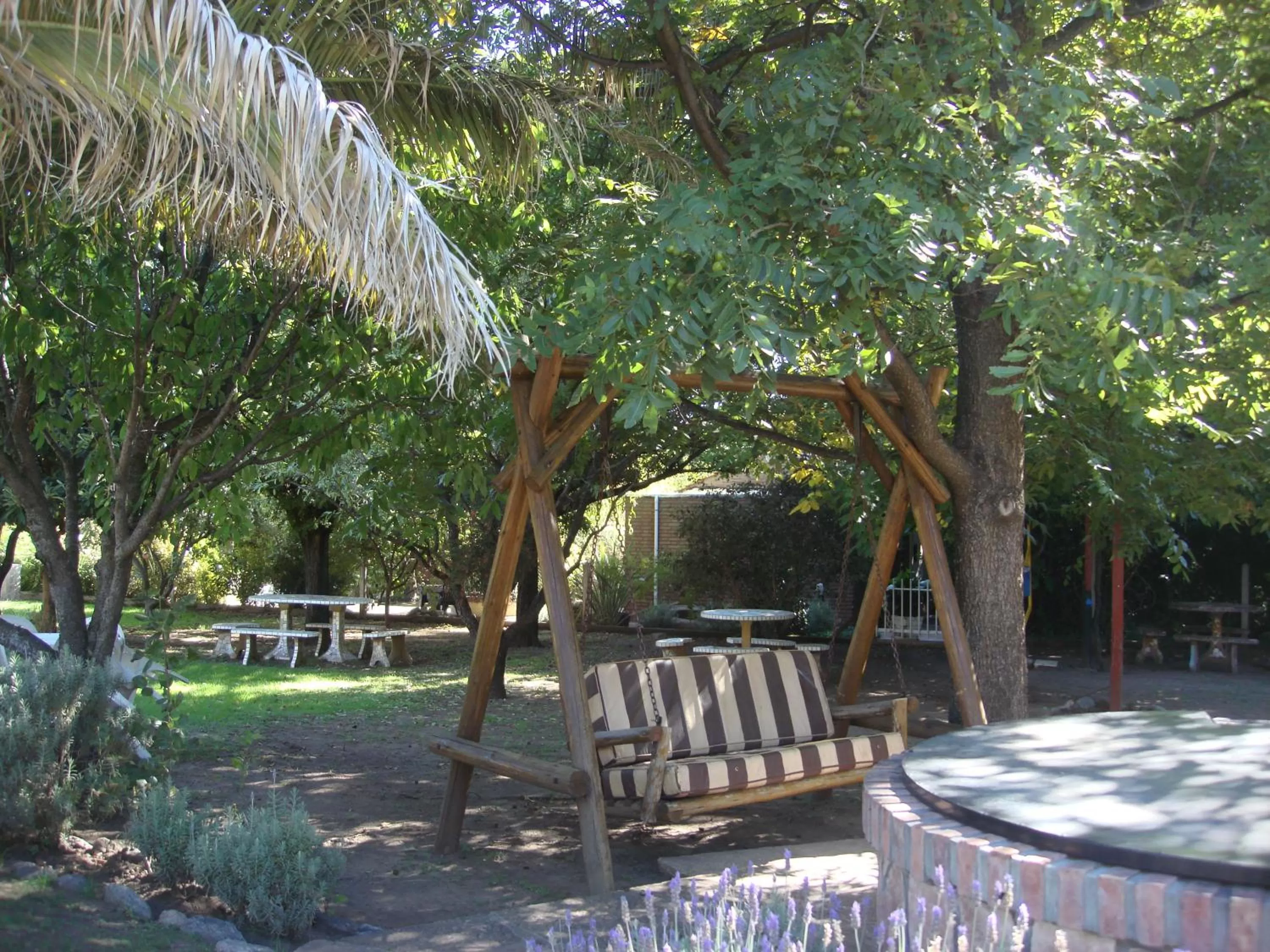 Garden in Hostería Lida