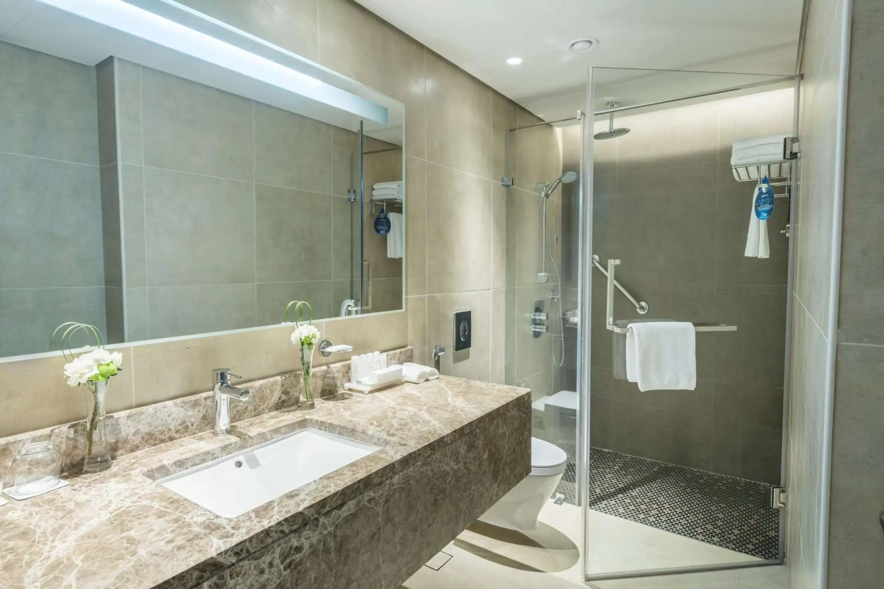 Bathroom in Radisson Blu Hotel, Jeddah Corniche