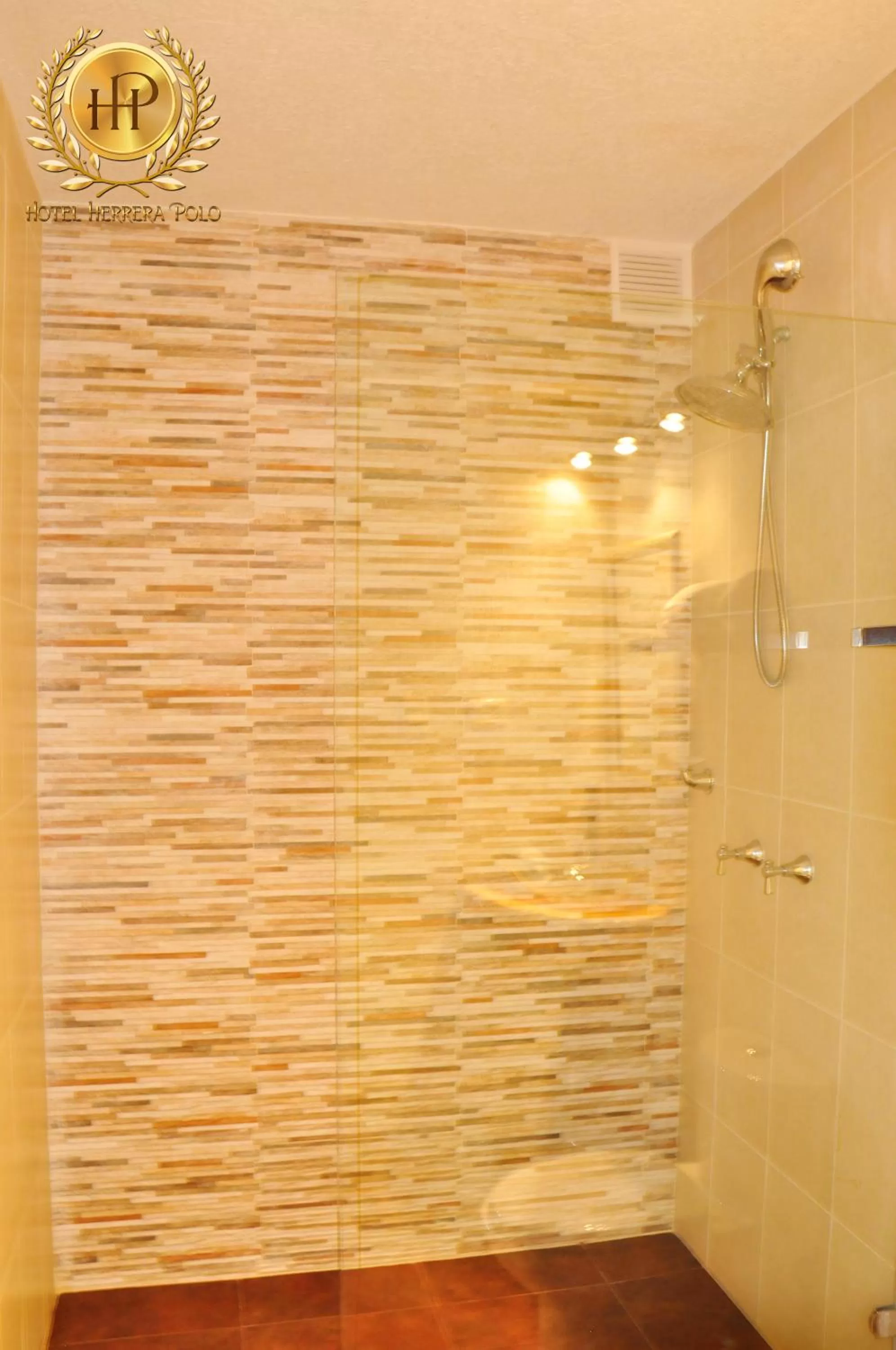 Shower, Bathroom in Hotel Herrera Polo