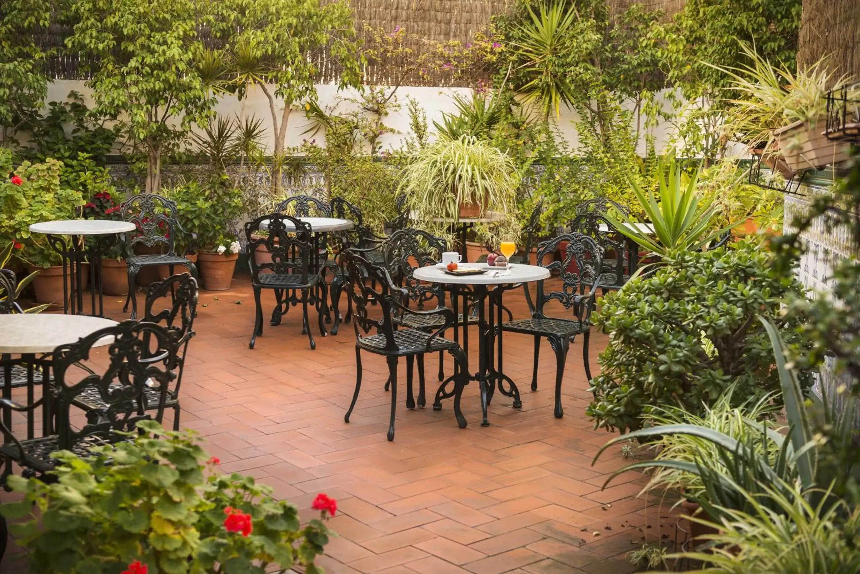 Garden, Patio/Outdoor Area in Mesón Castilla Atiram Hotels
