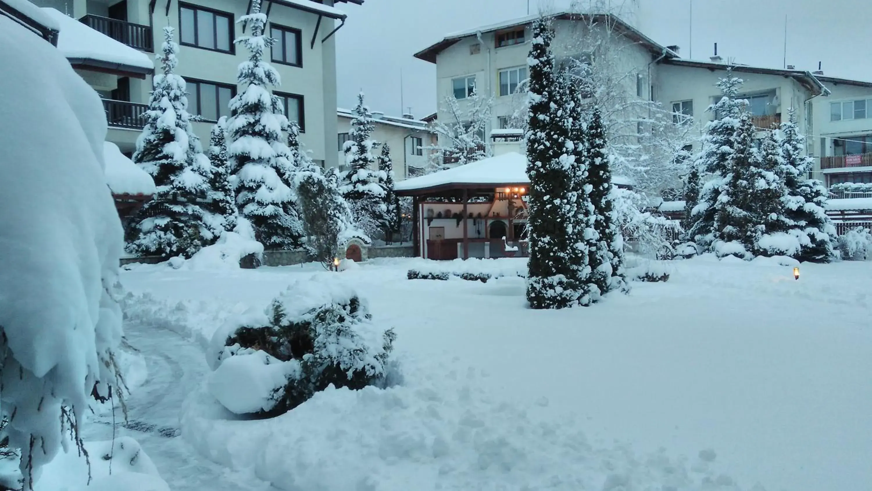 Garden, Winter in Evelina Palace Hotel