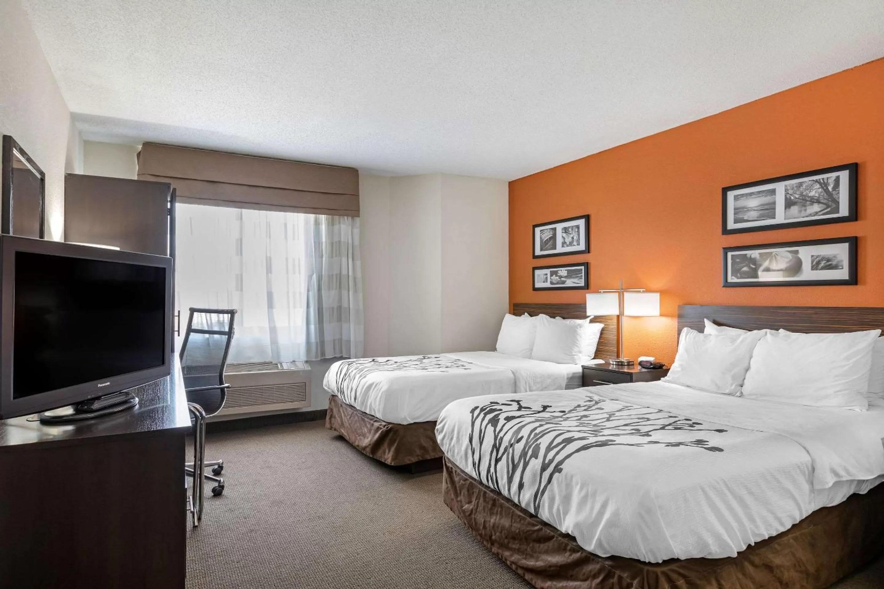 Photo of the whole room, Bed in Sleep Inn DeWitt - Lansing North