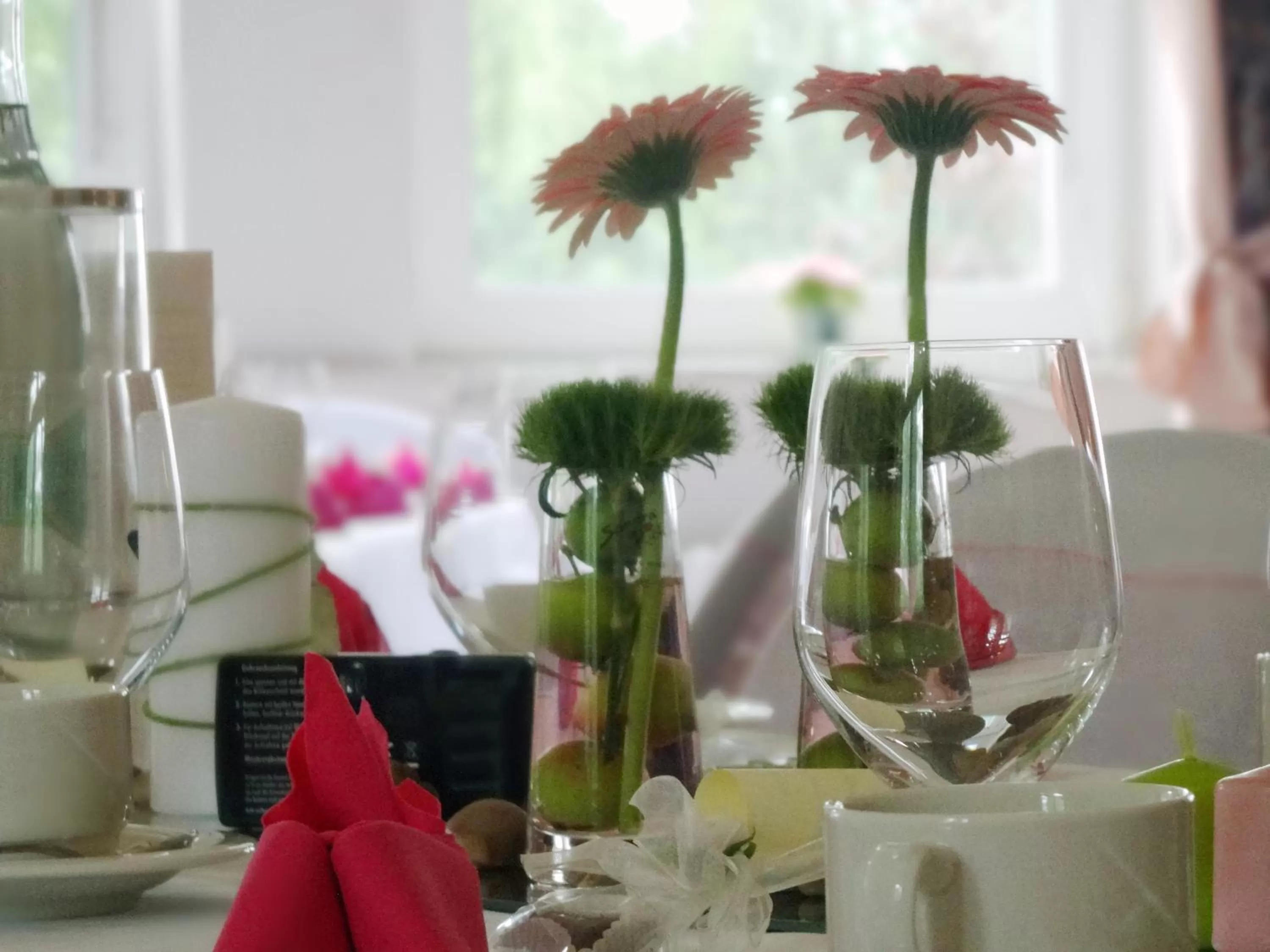 Day in Haus Hainstein