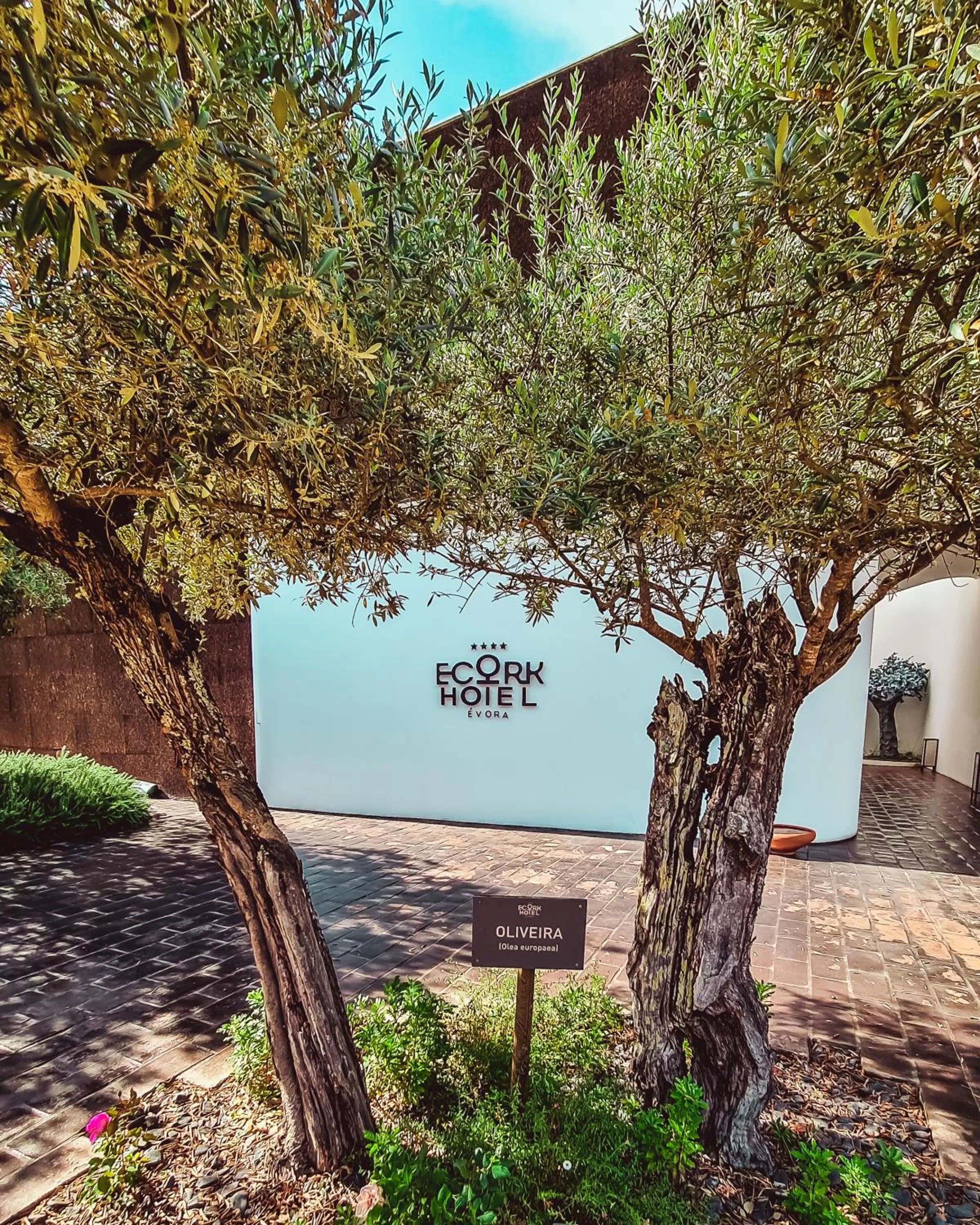 Property building in The Lince Ecorkhotel Évora