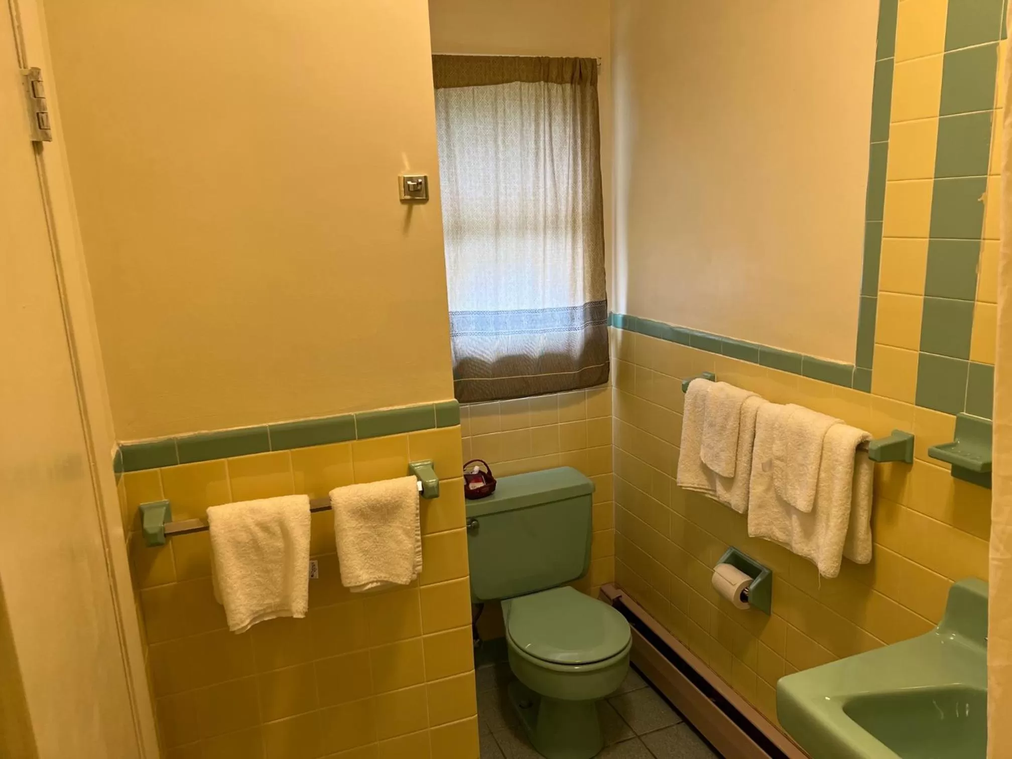 Toilet in Thruway Holiday Motel