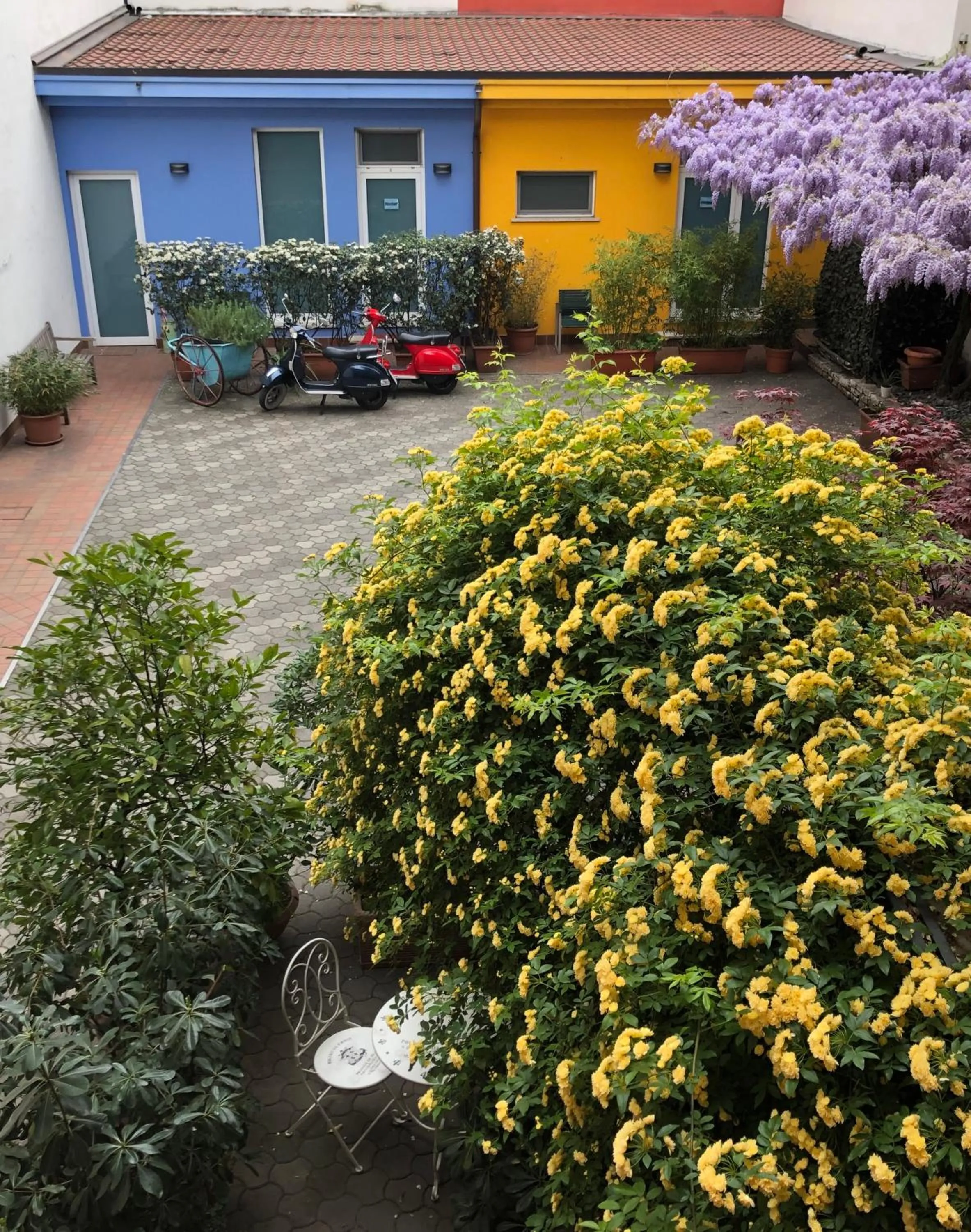 Garden in Il Girasole High Quality Inn