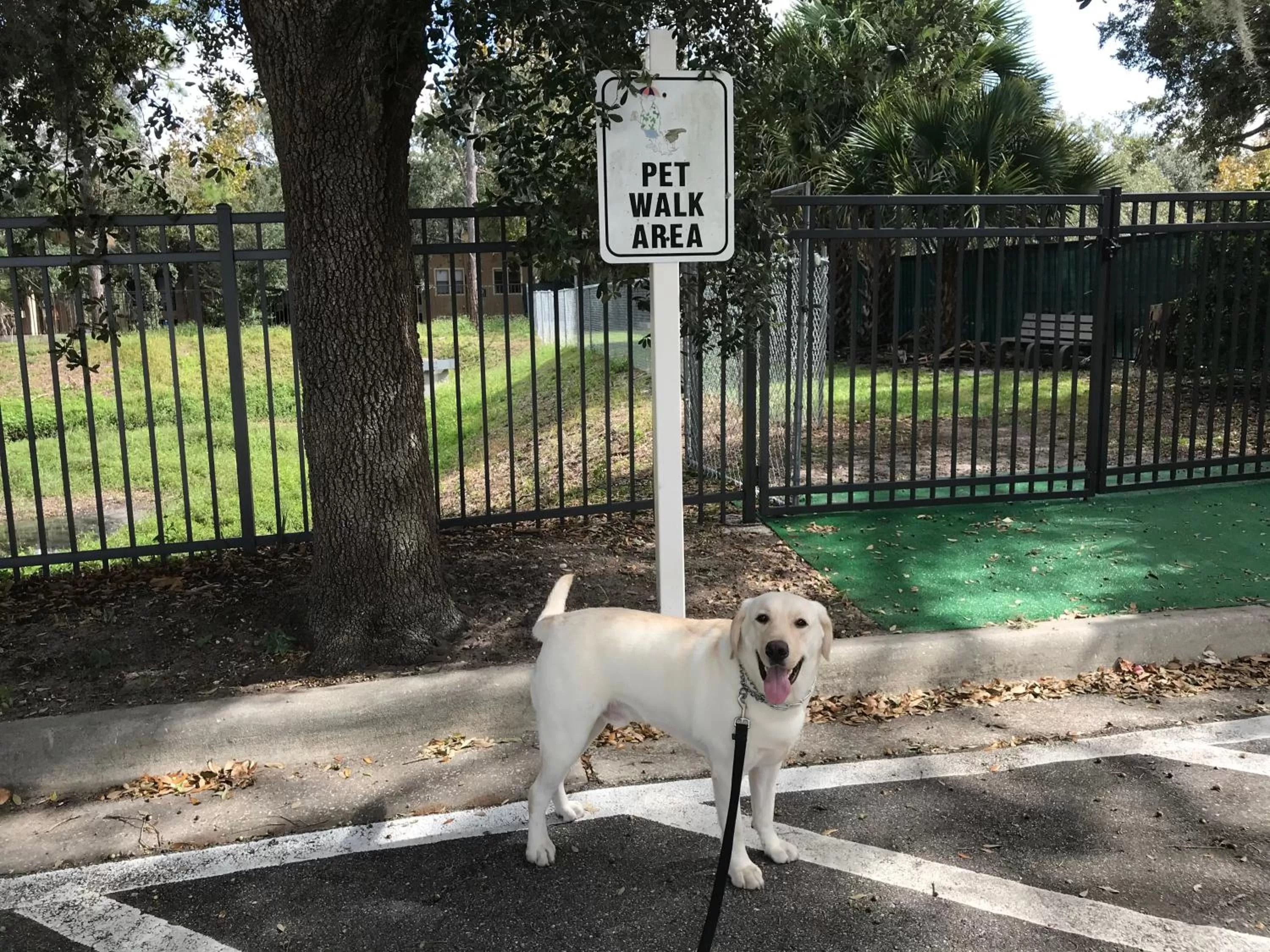 Property building in Holiday Inn Resort Orlando - Lake Buena Vista by IHG