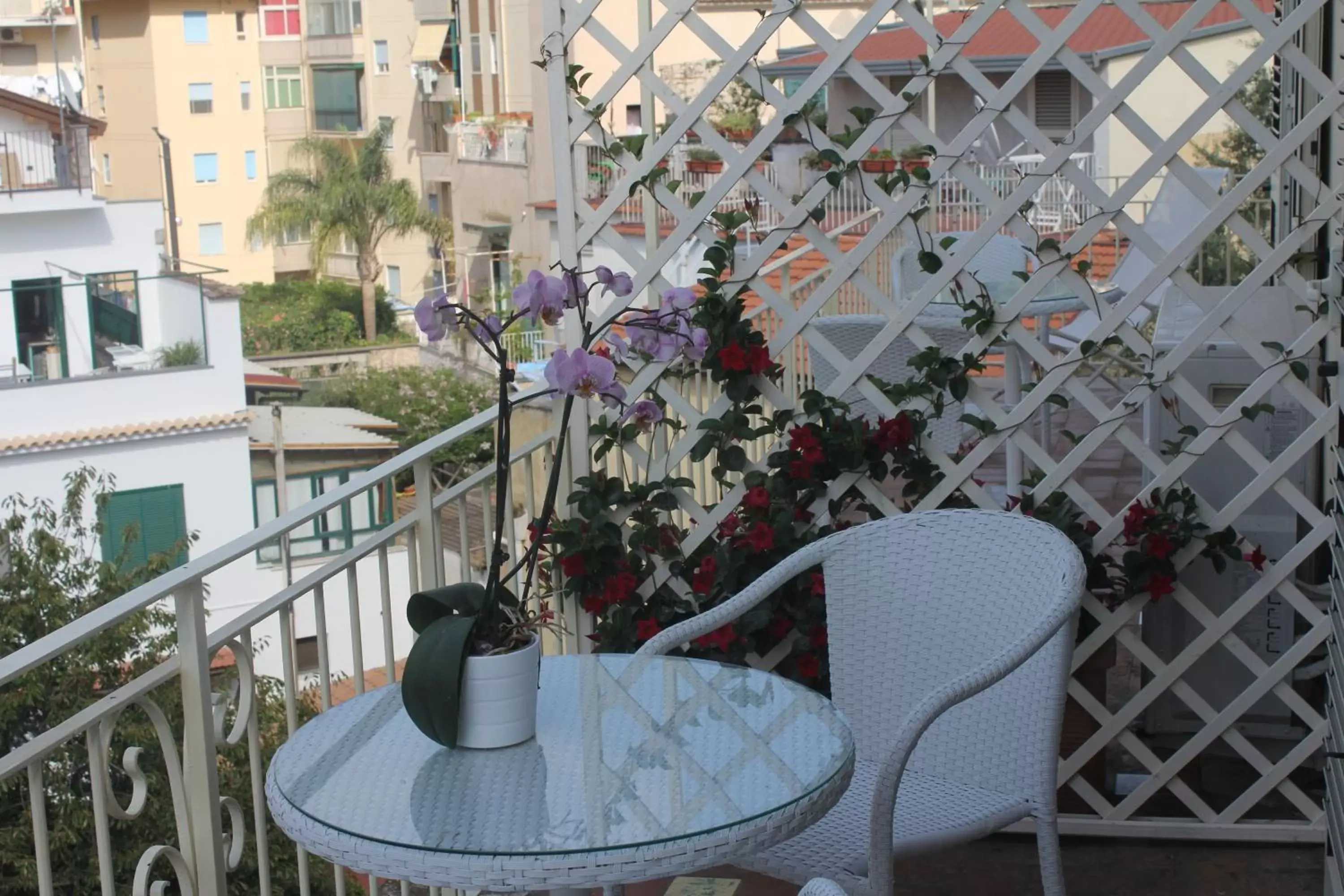 Solarium, Balcony/Terrace in B&B Il Giglio Bianco