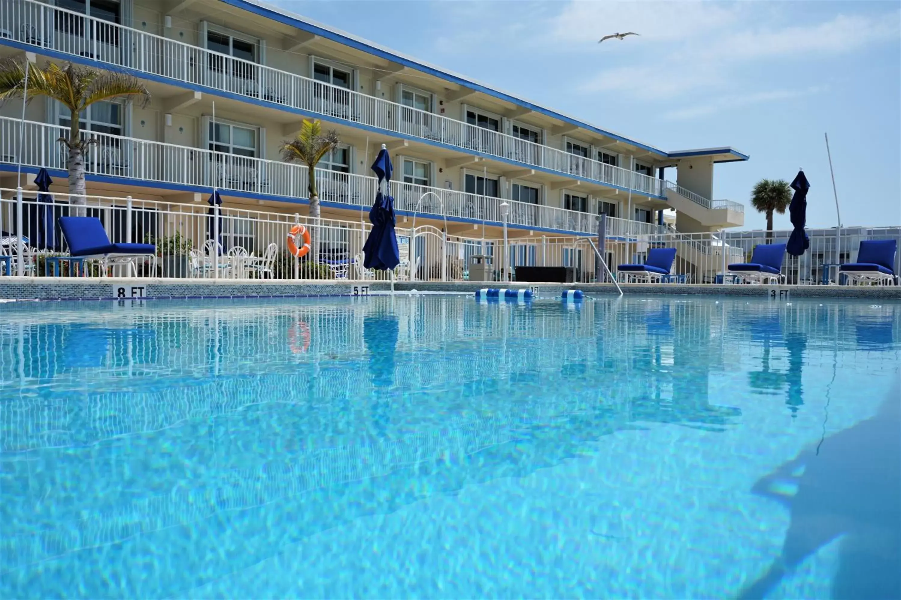 Swimming Pool in Glunz Ocean Beach Hotel and Resort