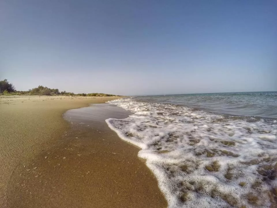 Property building in Tenuta Orsanese