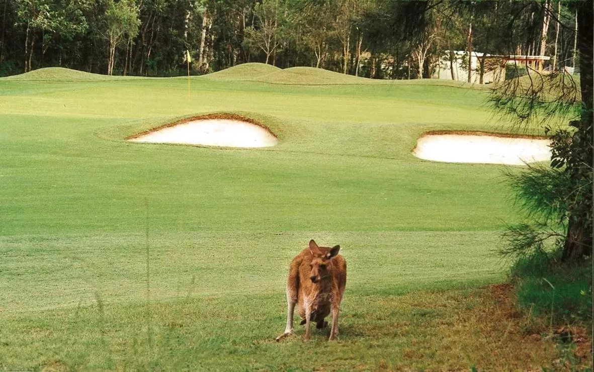 Day, Golf in Magnolia Lane Apartments