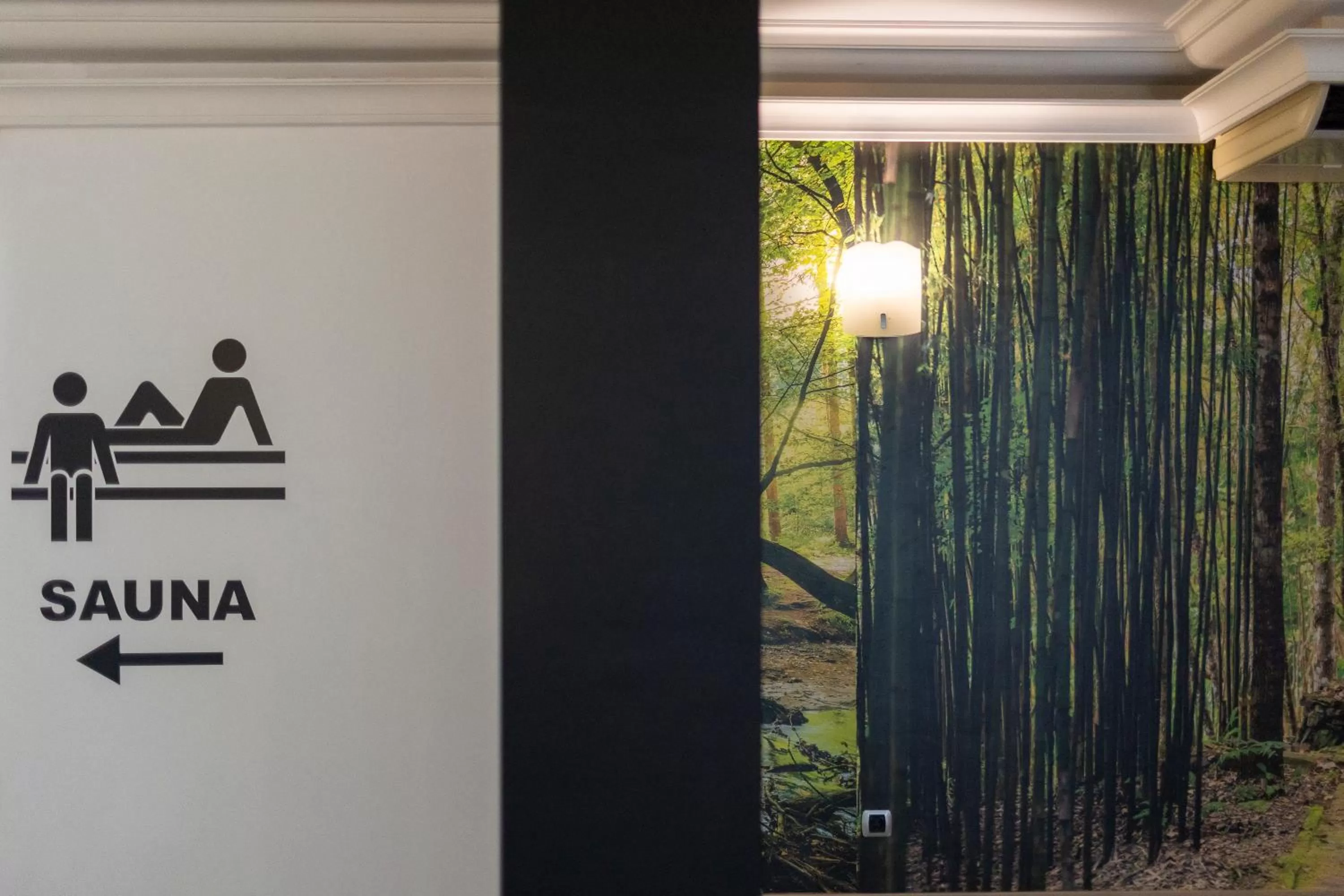 Sauna in Hotel Alfonso I