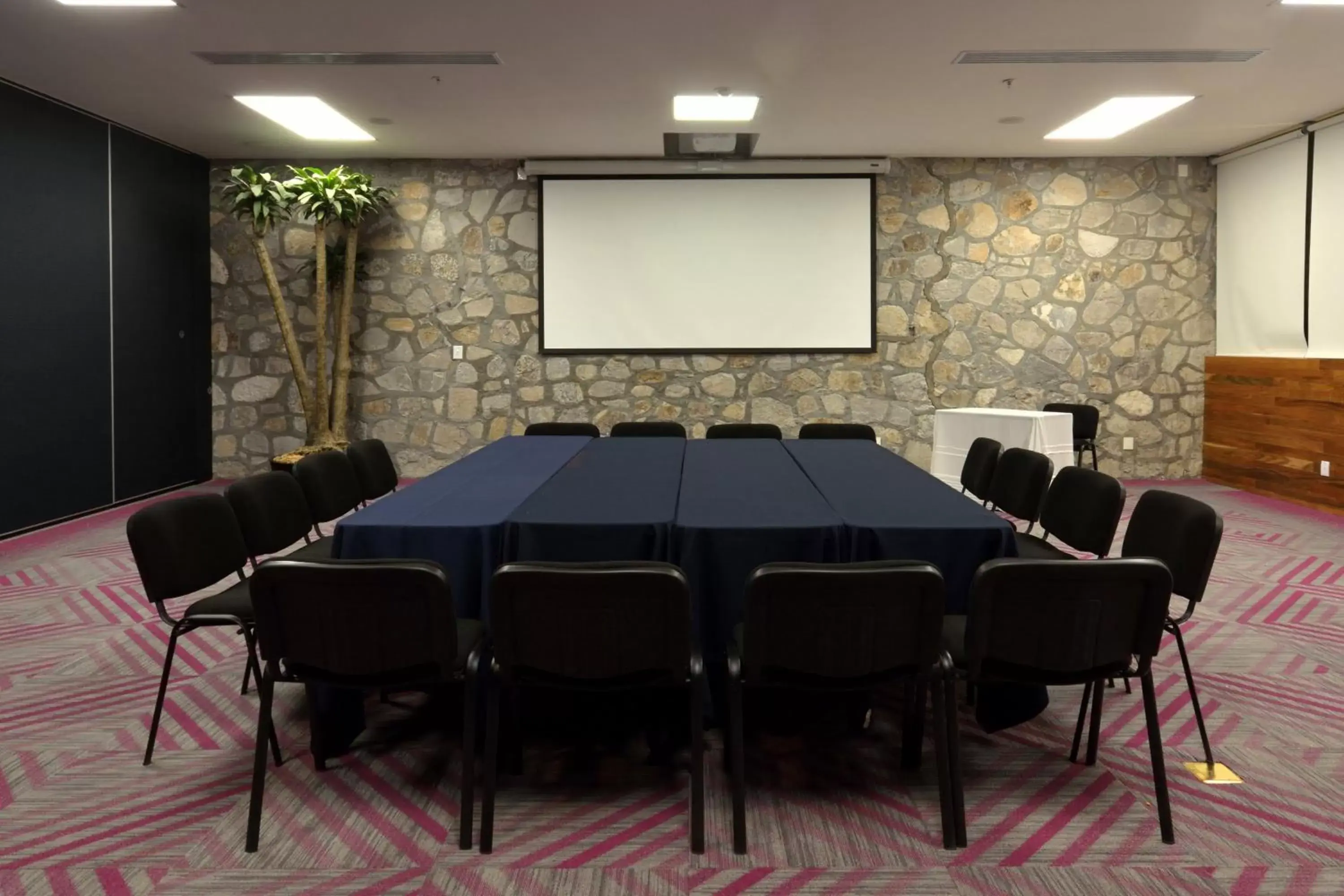 Meeting/conference room in Holiday Inn Express Pachuca, an IHG Hotel