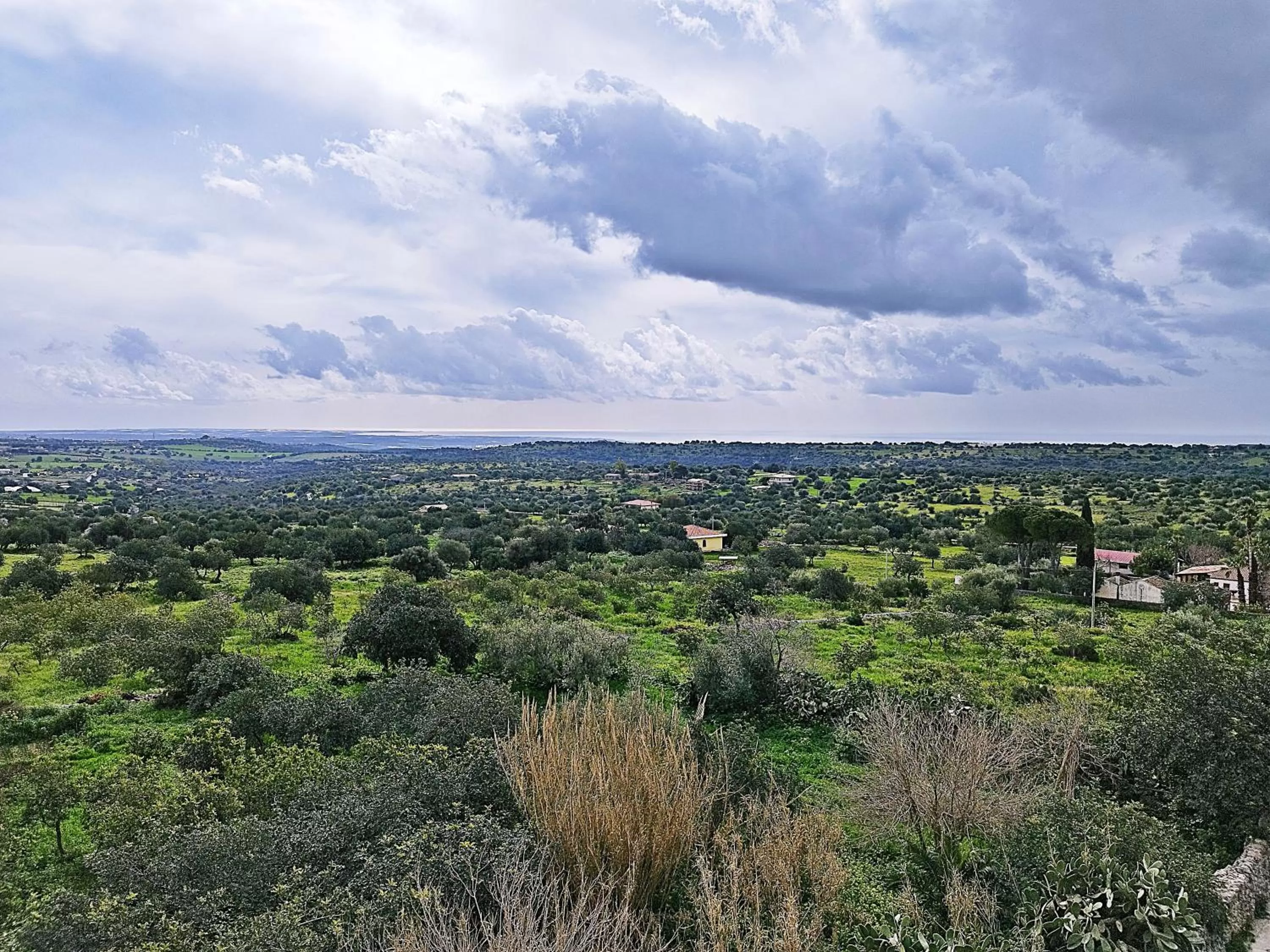 Natural landscape in Vinciucci