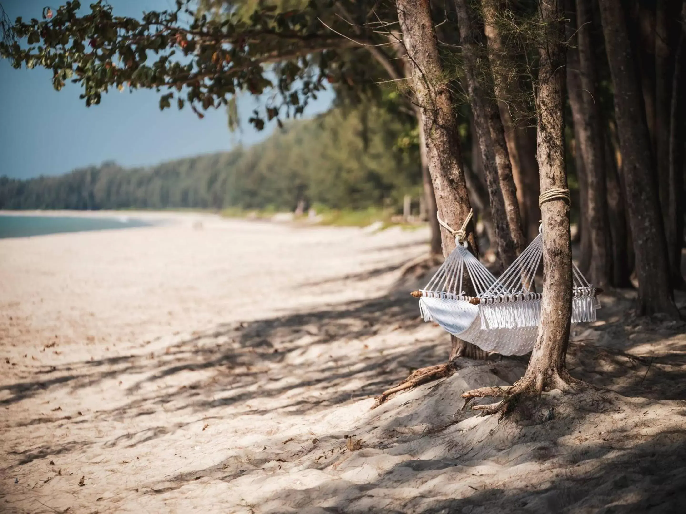 Beach in Avani Plus Khao Lak Resort