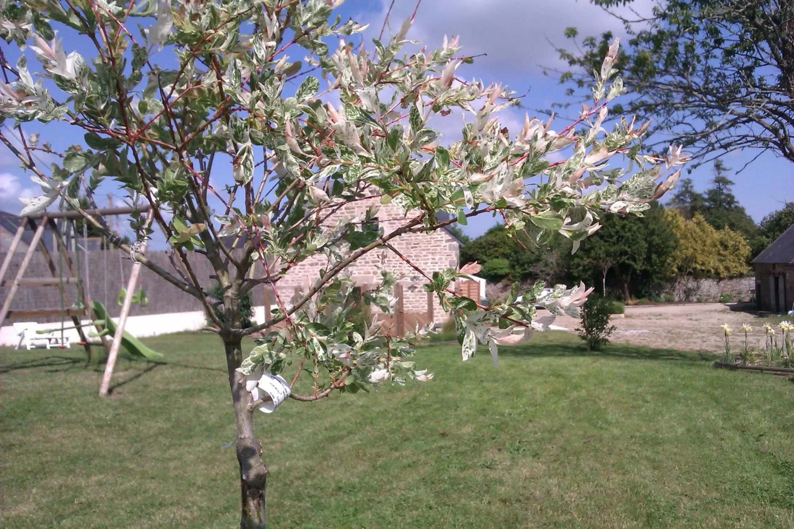 Garden in Les Gites de Kerdurod