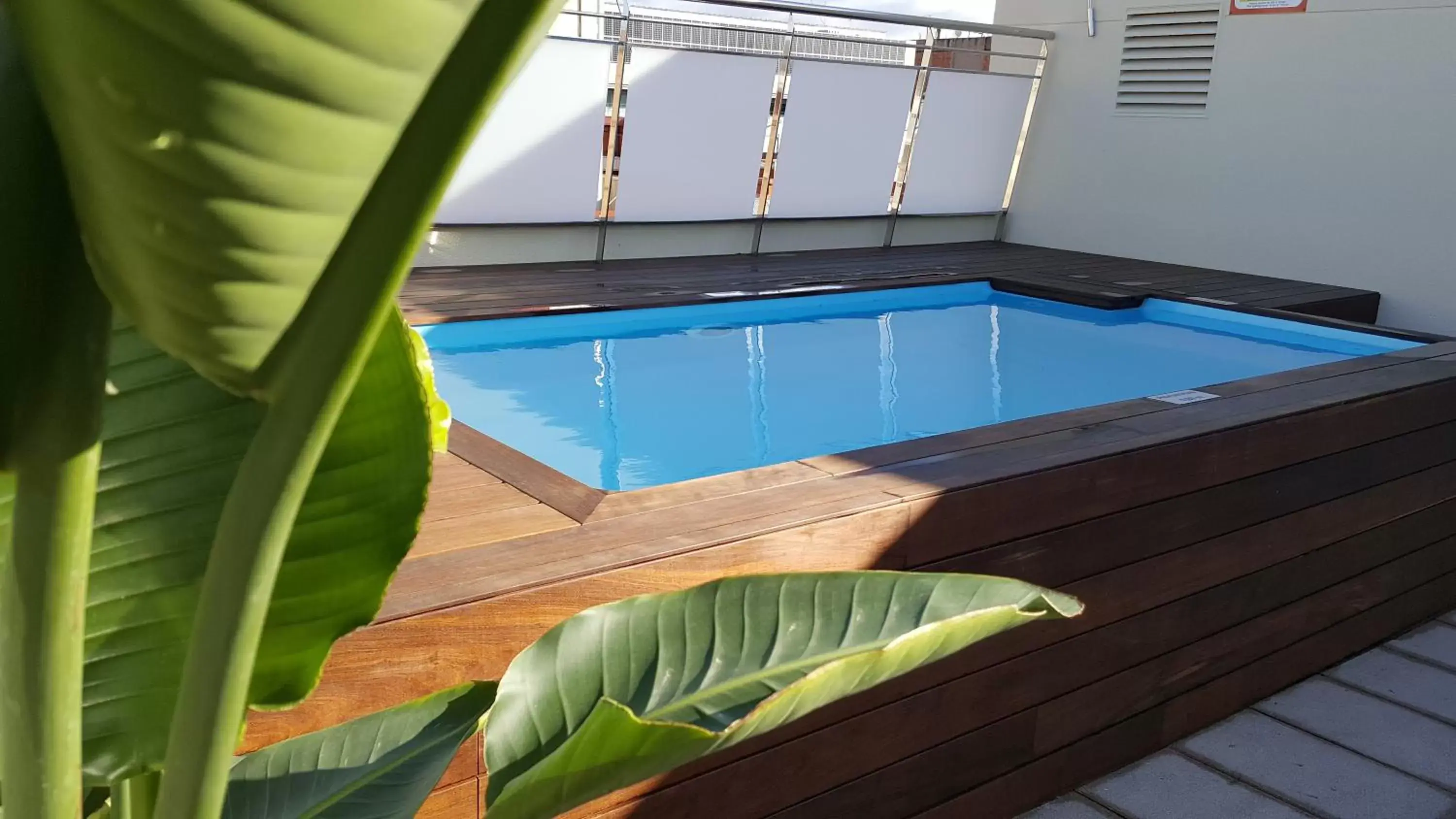 Swimming Pool in Acacia Suite