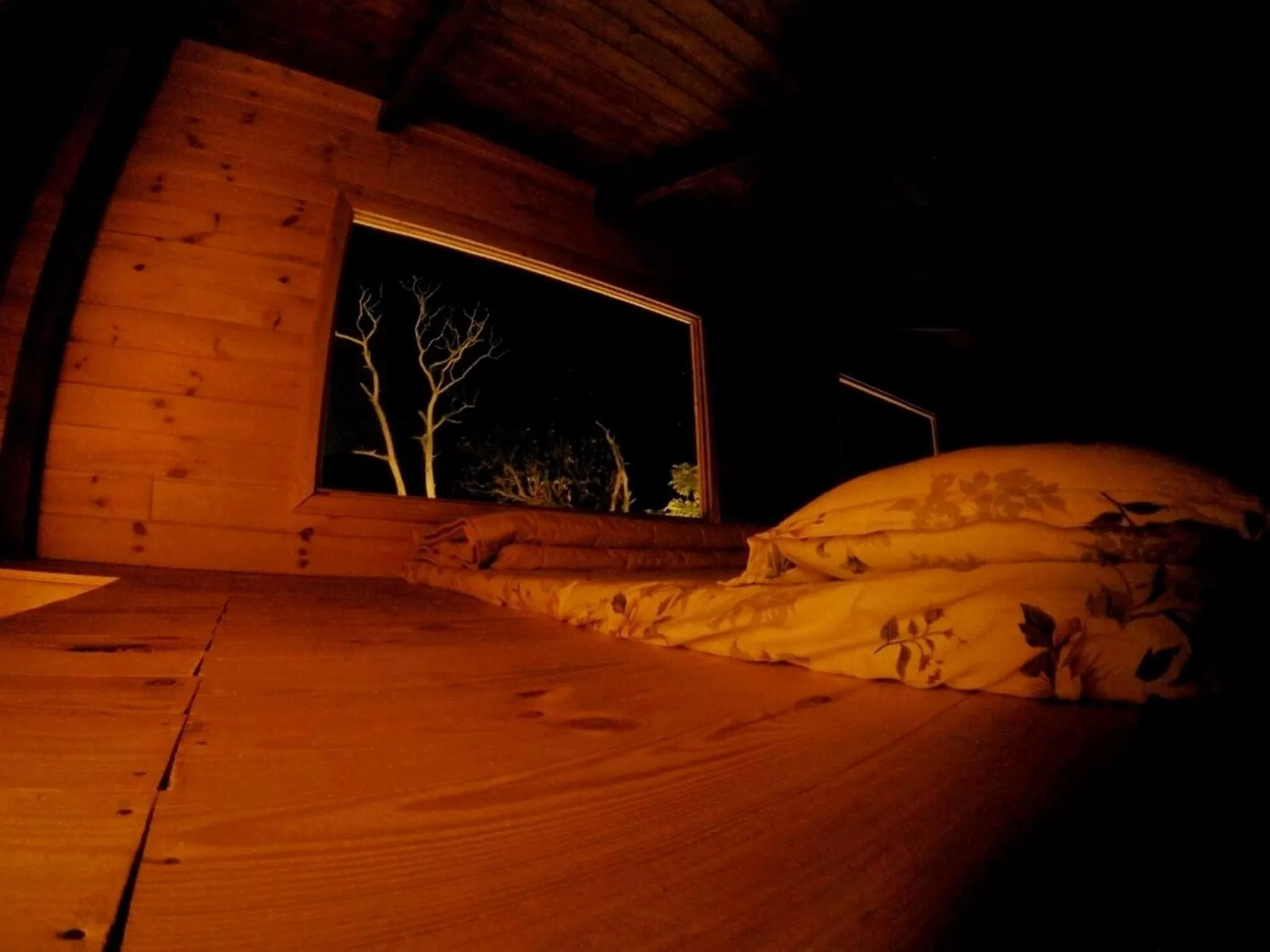 View (from property/room) in labdhi Resorts Masinagudi- Stag Groups not allowed