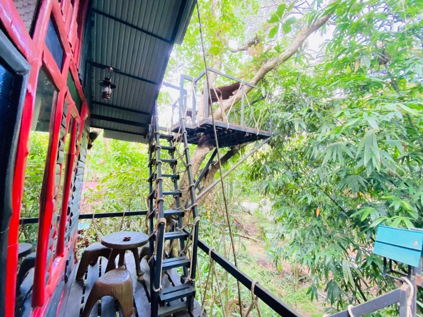 View (from property/room) in Khao Sok Tree House Resort