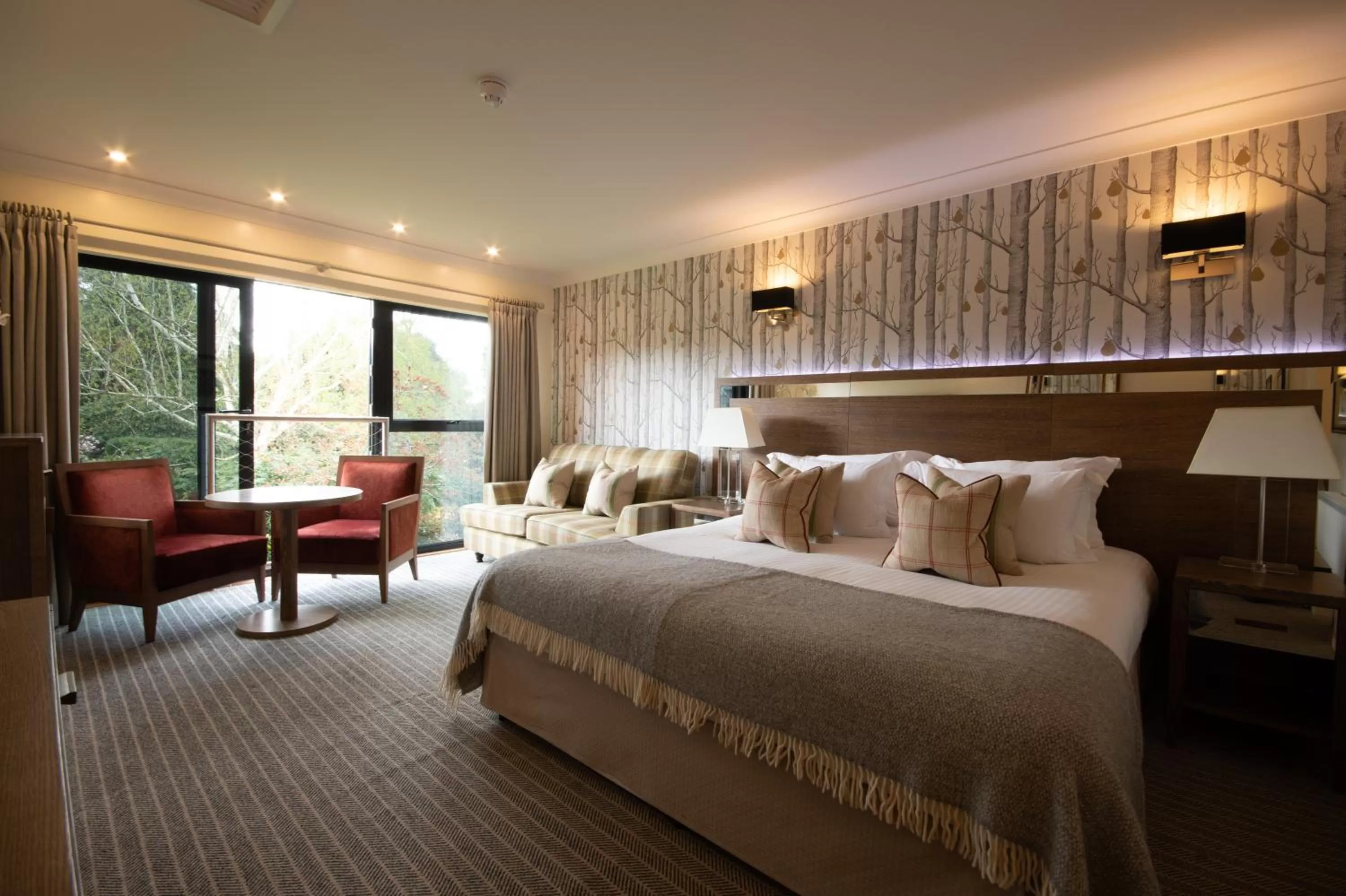 Superior Double Room with Garden View in Careys Manor Hotel & SenSpa