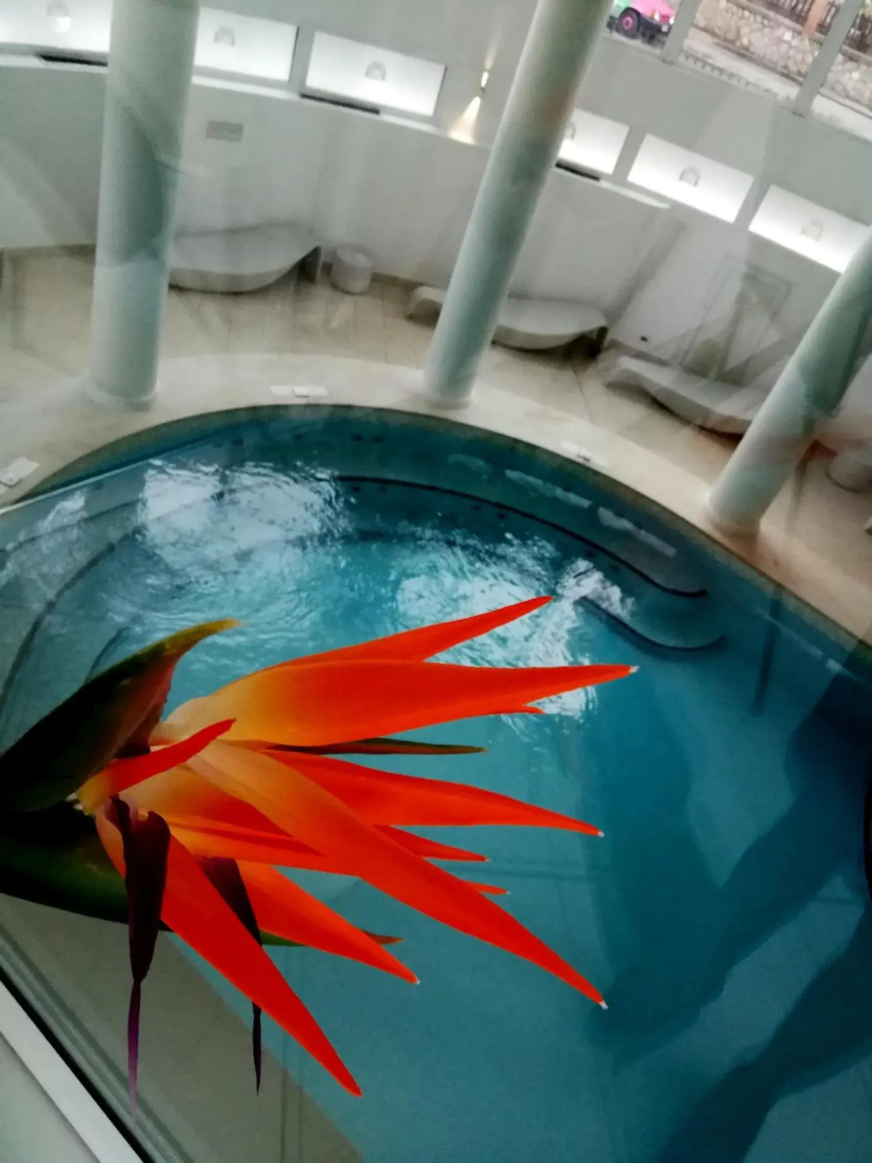 Spa and wellness centre/facilities, Swimming Pool in Hotel Terme Marine Leopoldo Ii
