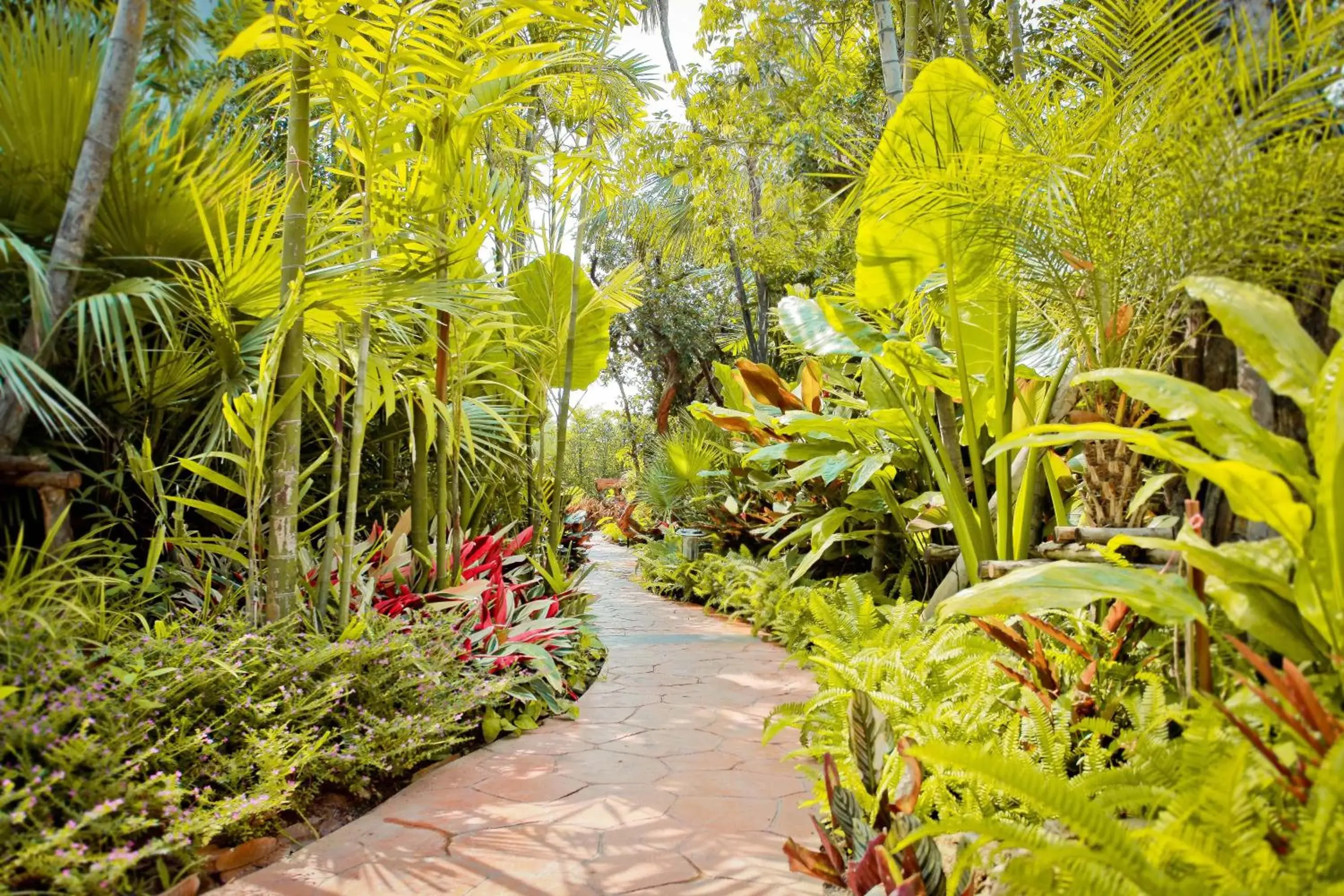 Garden in Taman Resort