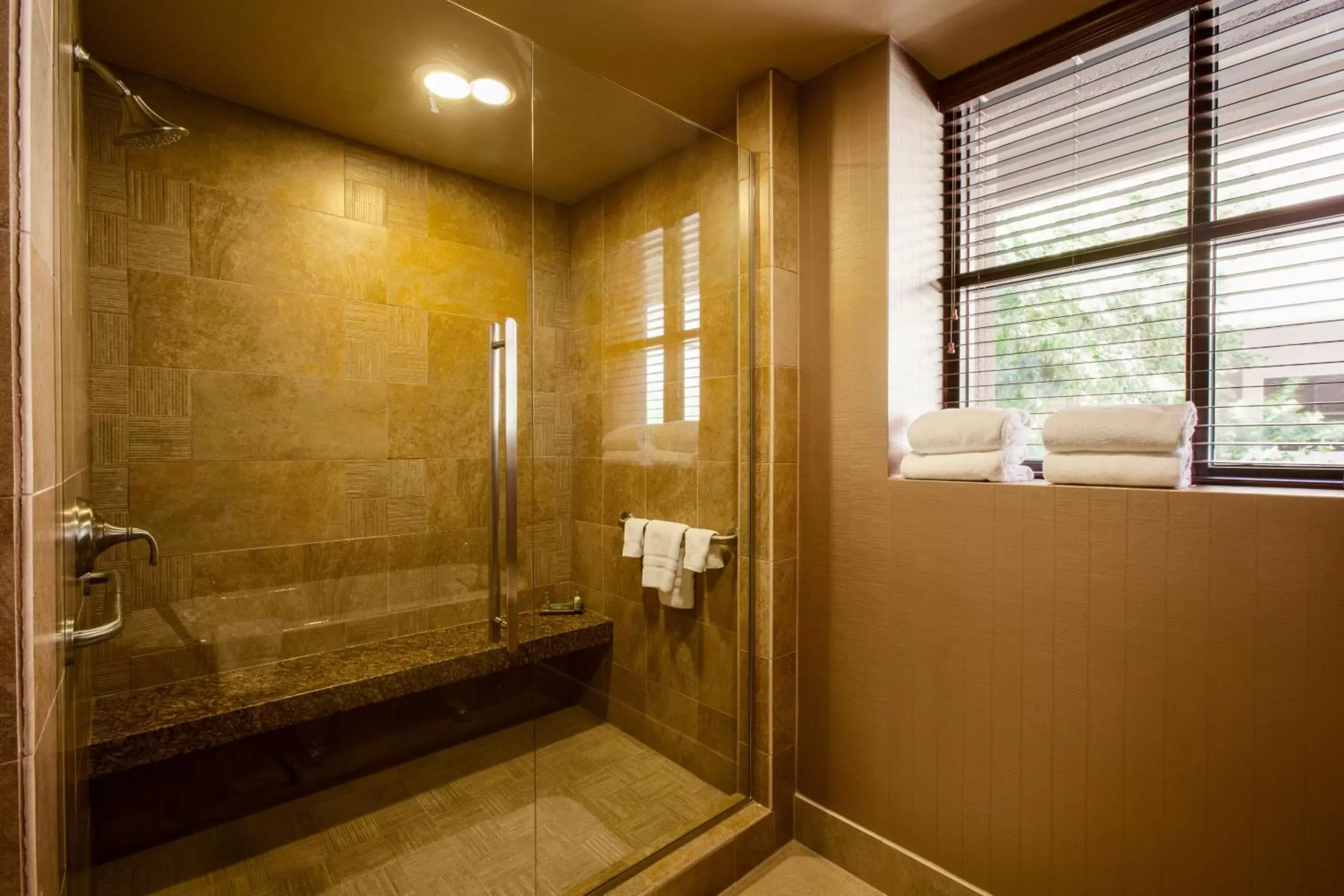 Shower, Bathroom in The Lodge at Ventana Canyon