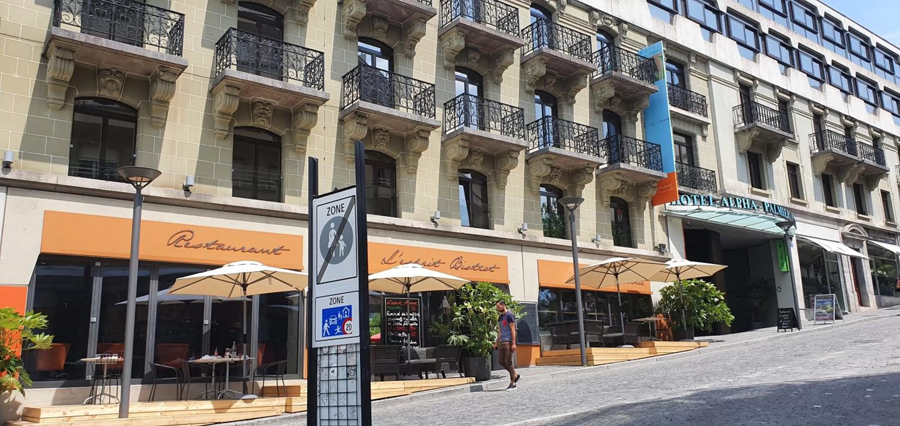 Palmiers by Fassbind