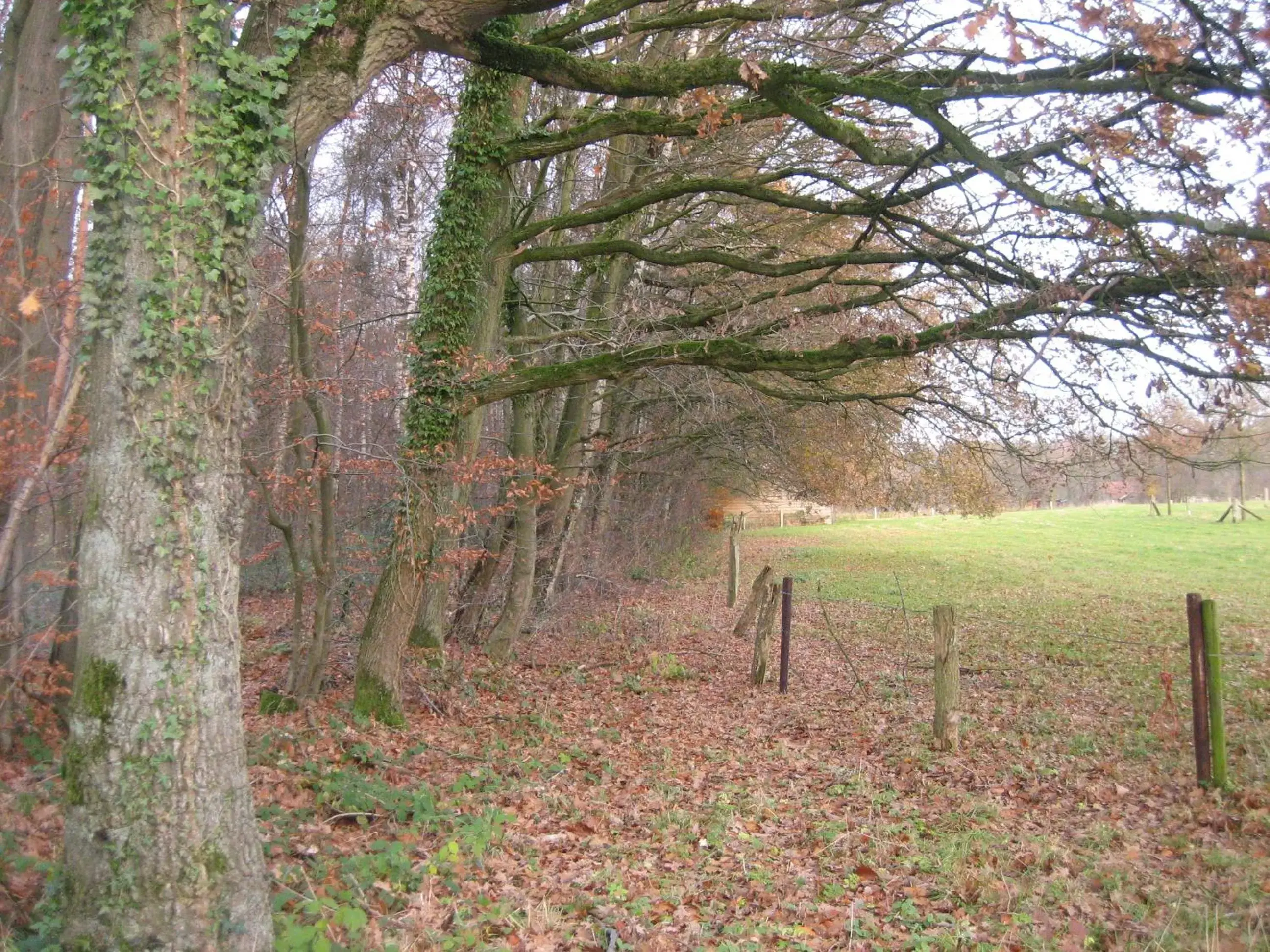 Natural landscape in Hotel Het Landhuis