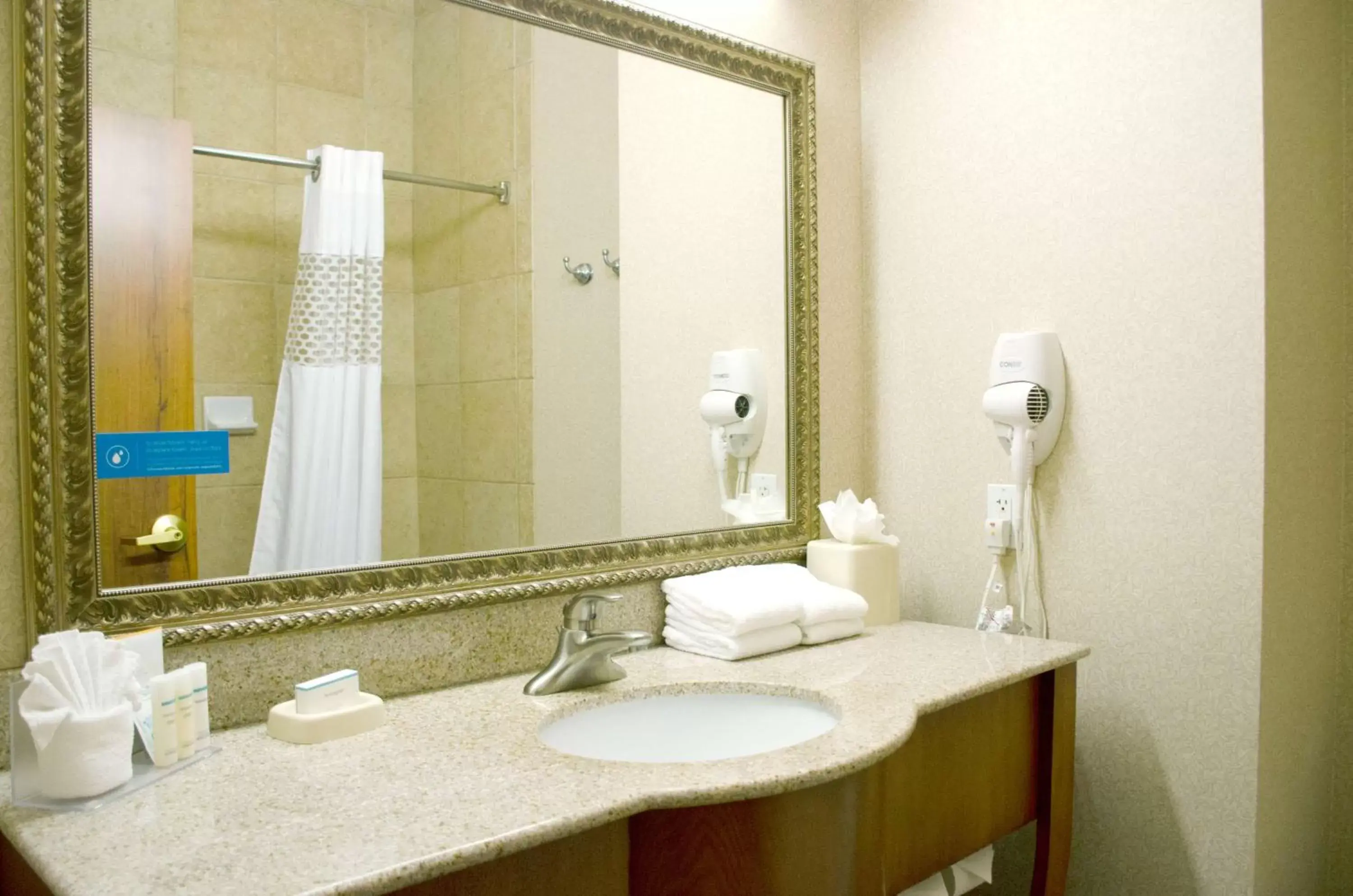 Bathroom in Hampton Inn & Suites College Station