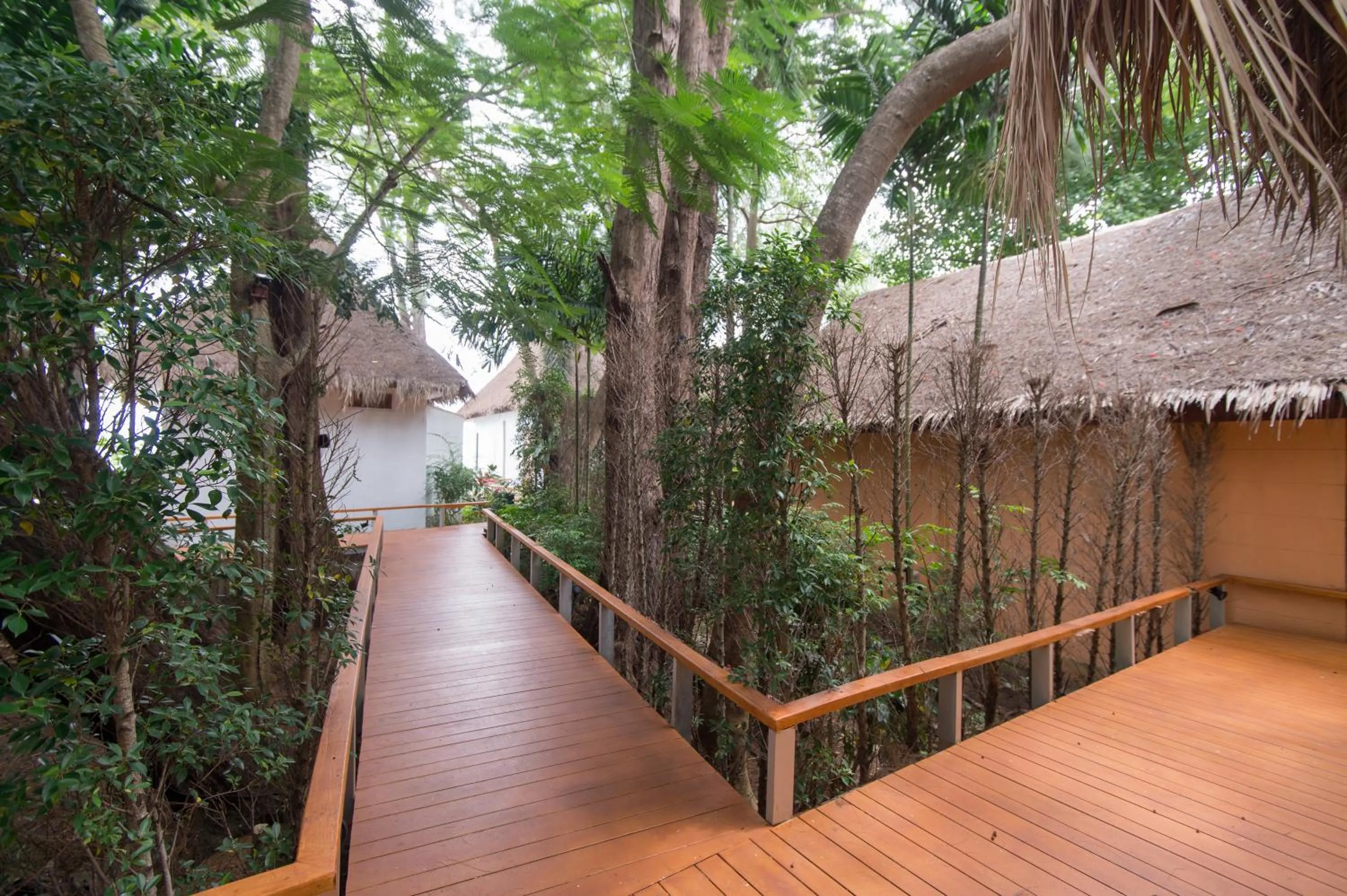 Property building in Twin Bay Resort Koh Lanta