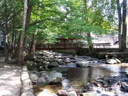 Natural landscape in Carr's Northside Hotel and Cottages