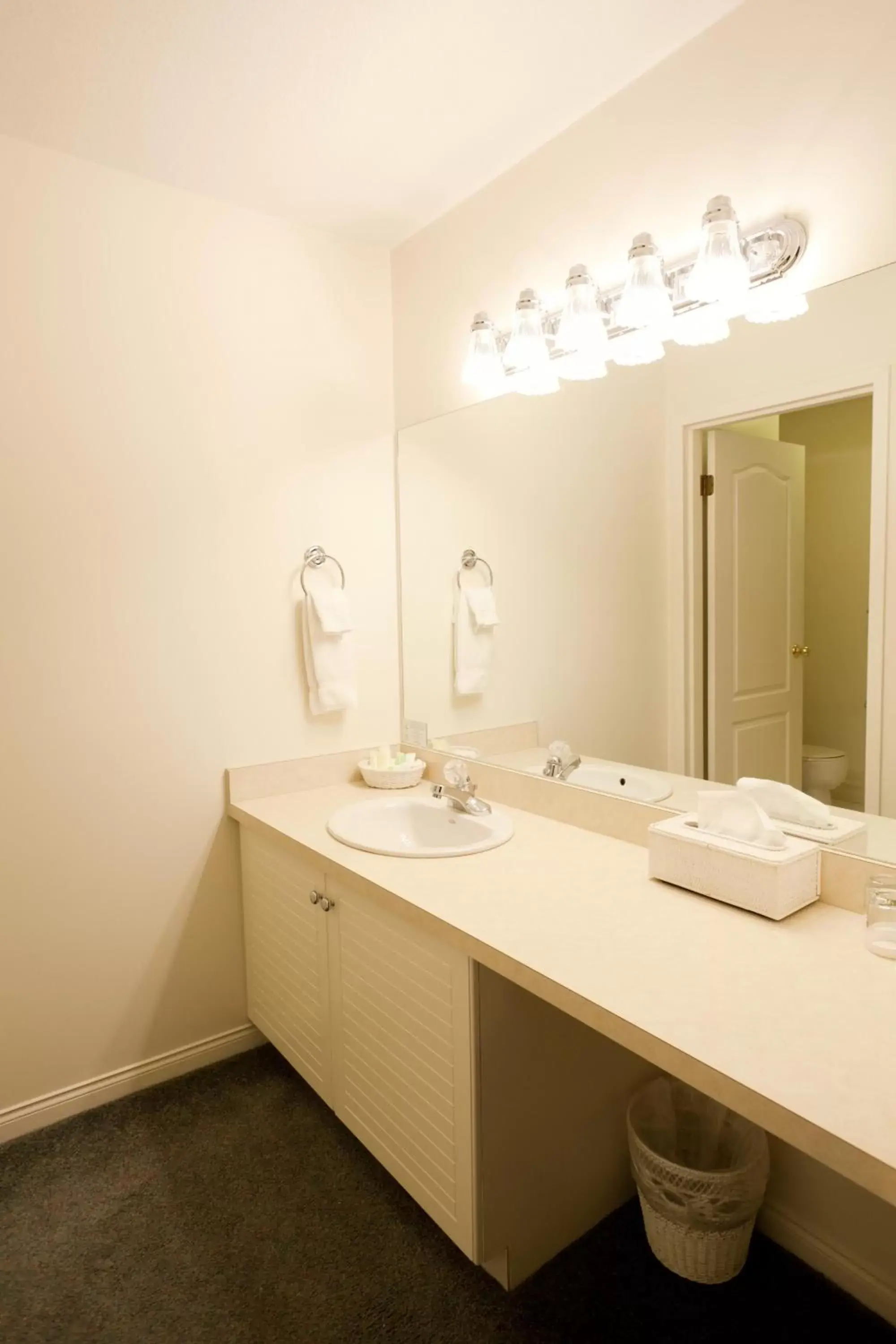 Bathroom in South Thompson Inn & Conference Centre