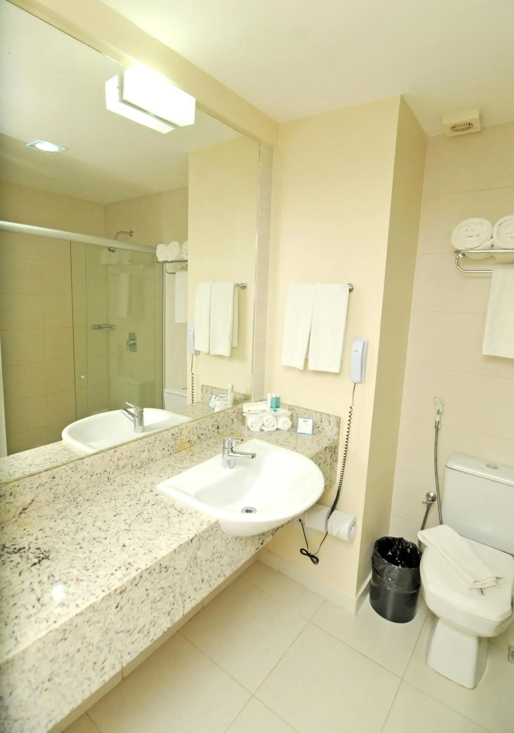 Toilet, Bathroom in Holiday Inn Express Belem Ananindeua, an IHG Hotel