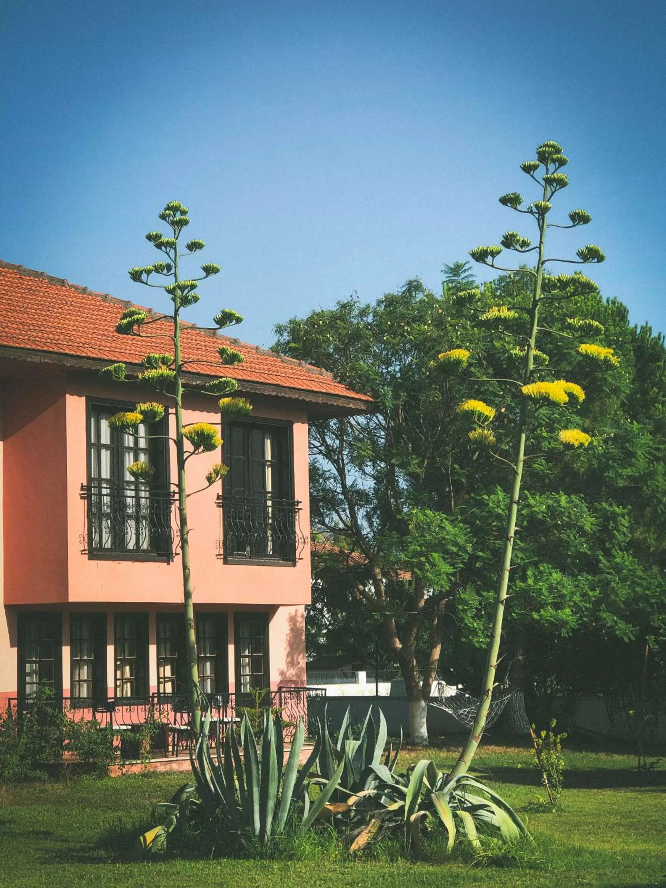 Garden in Hotel Palme Dalyan