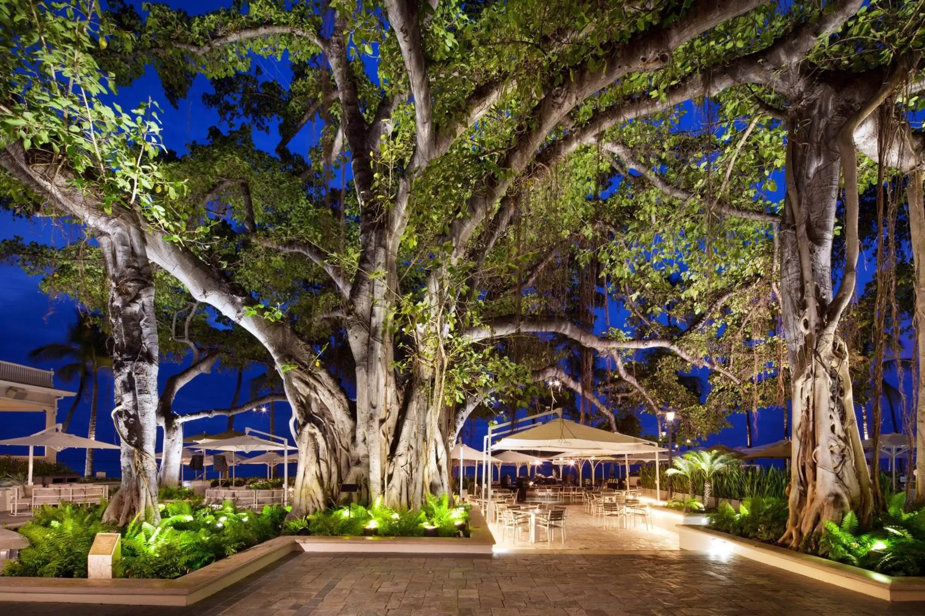 Other in Moana Surfrider, A Westin Resort & Spa, Waikiki Beach